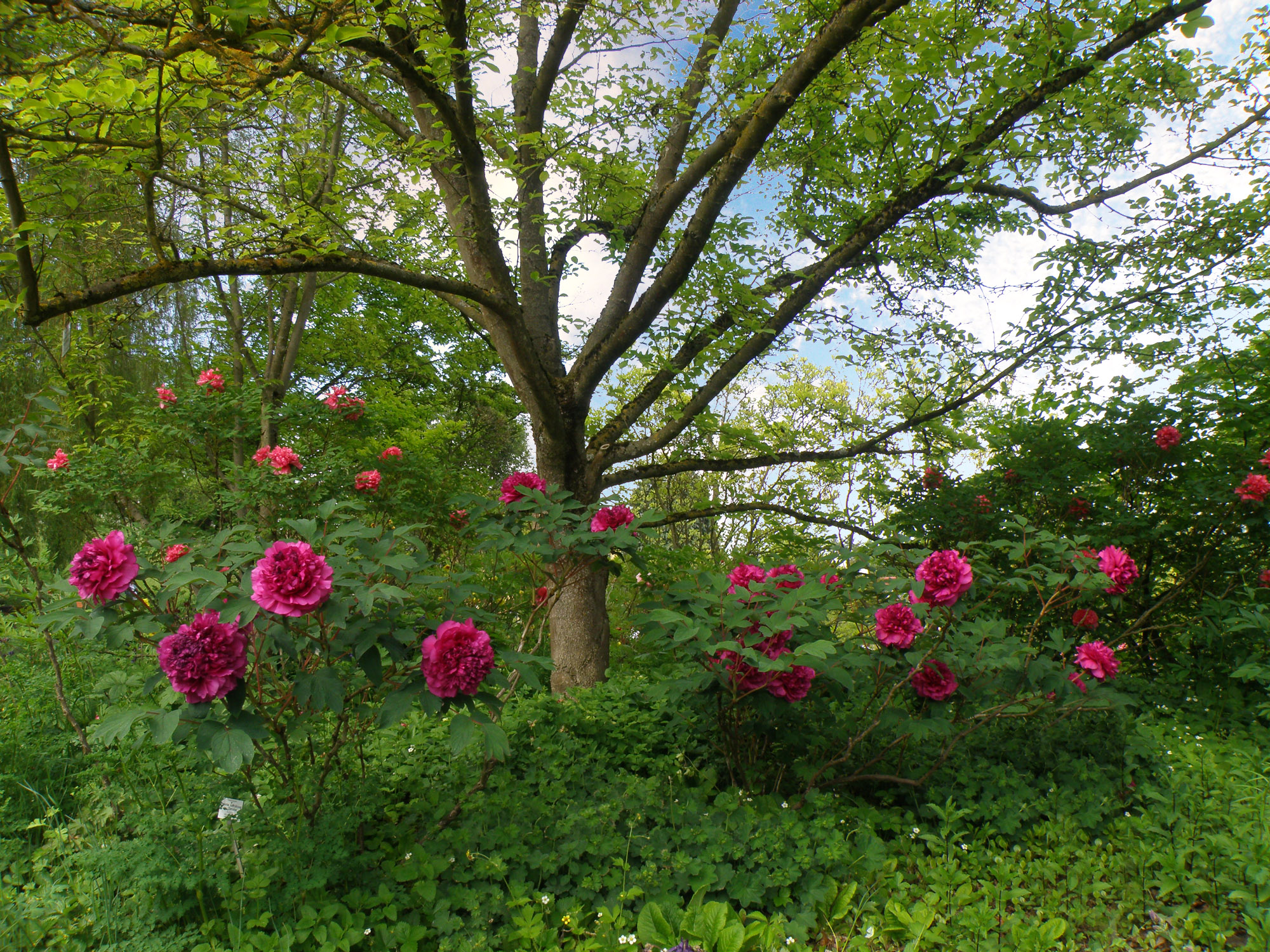 68049ffb4798ab982cd63998