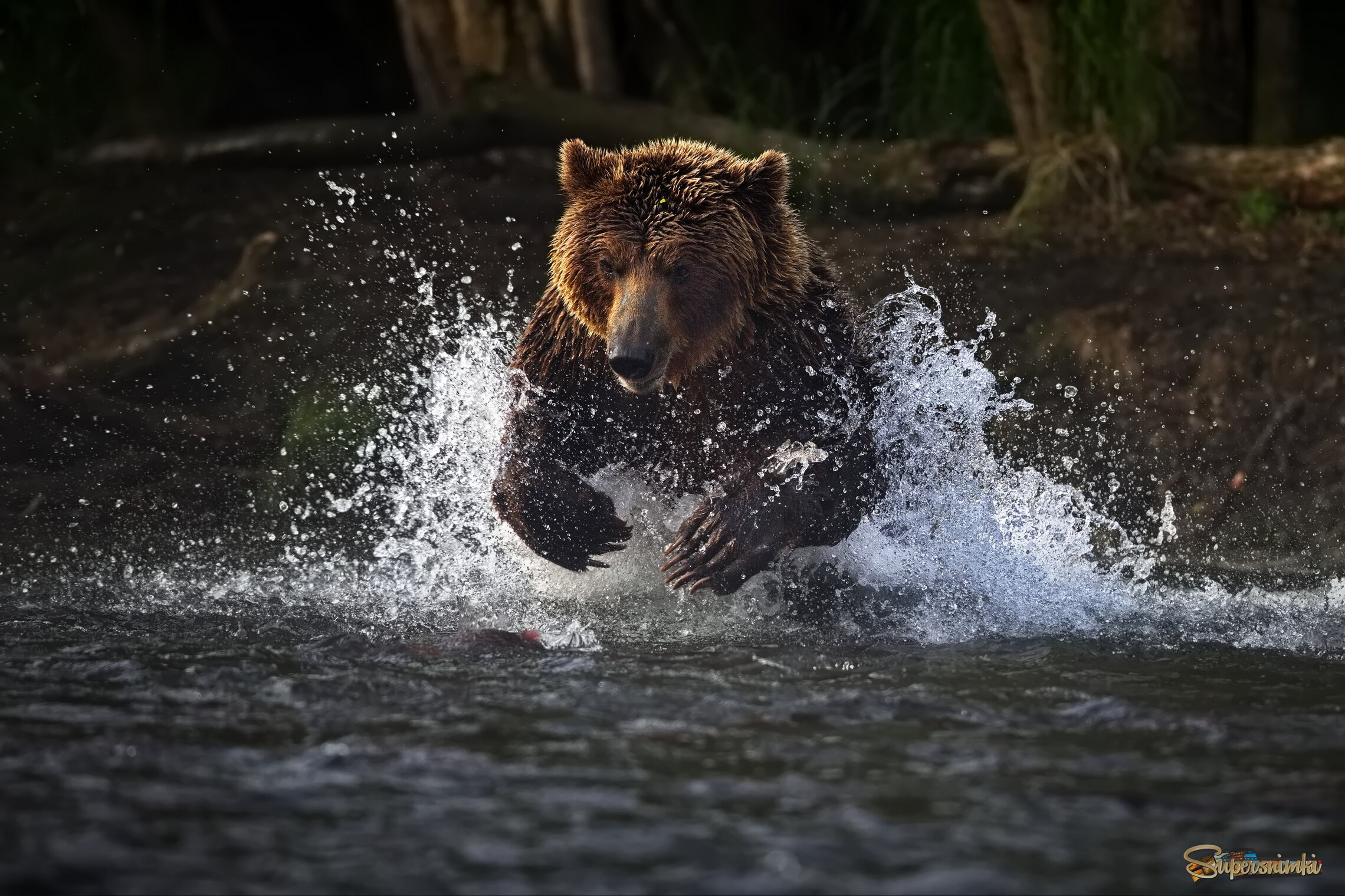 Водная беготня