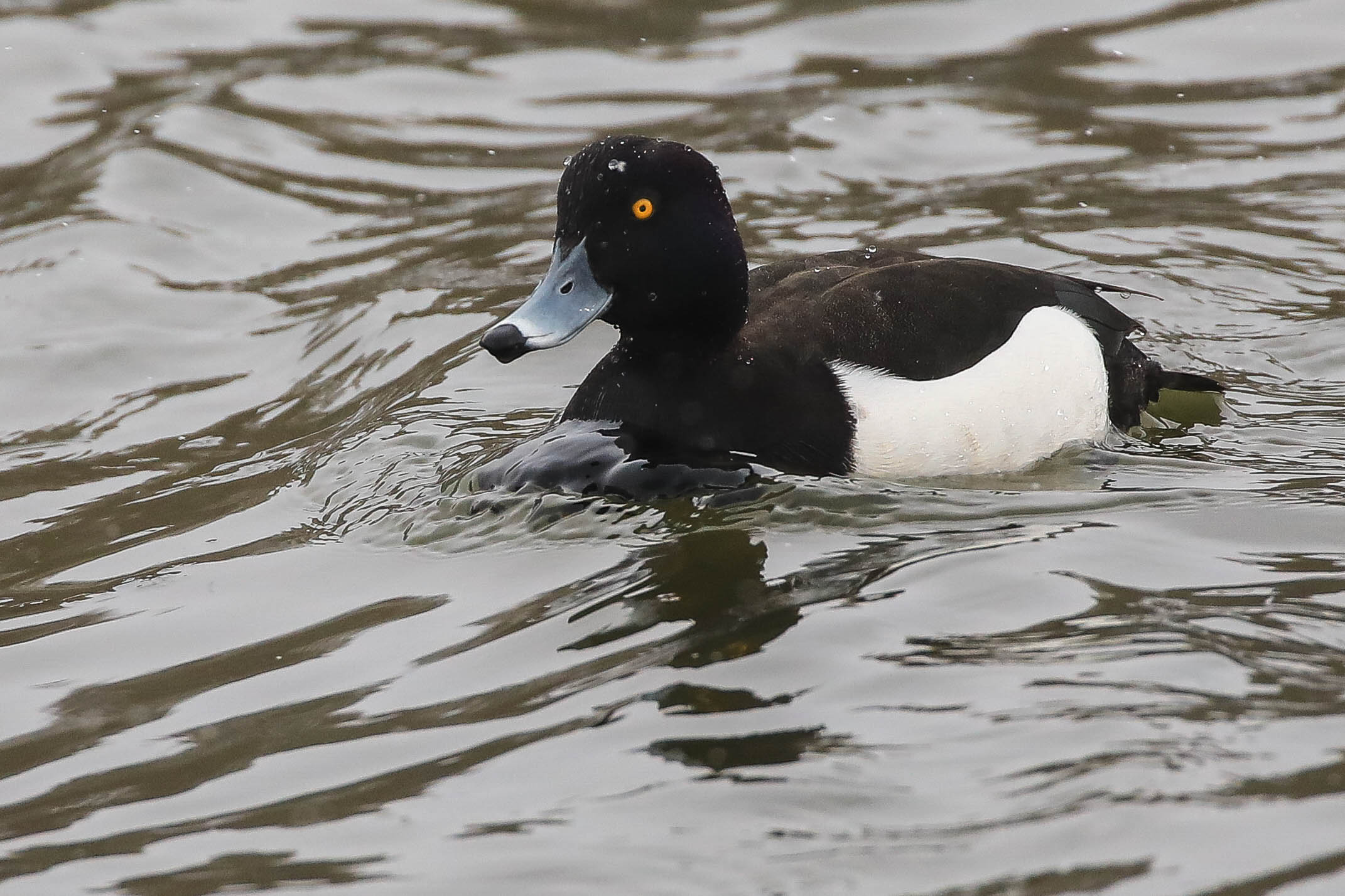 Снег в апреле