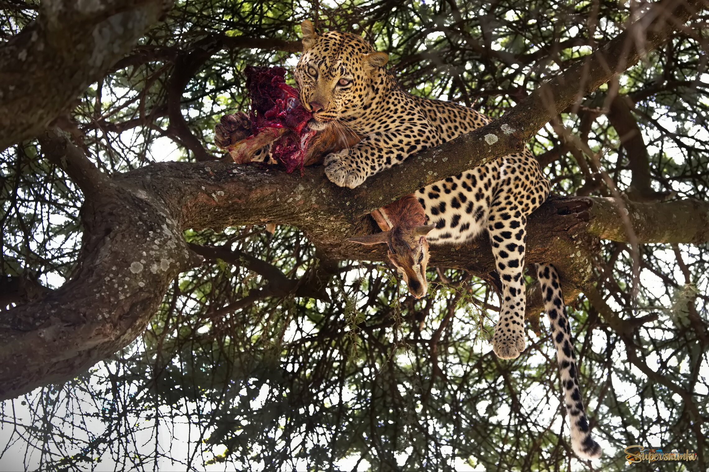 Подальше положишь - поближе возьмешь.