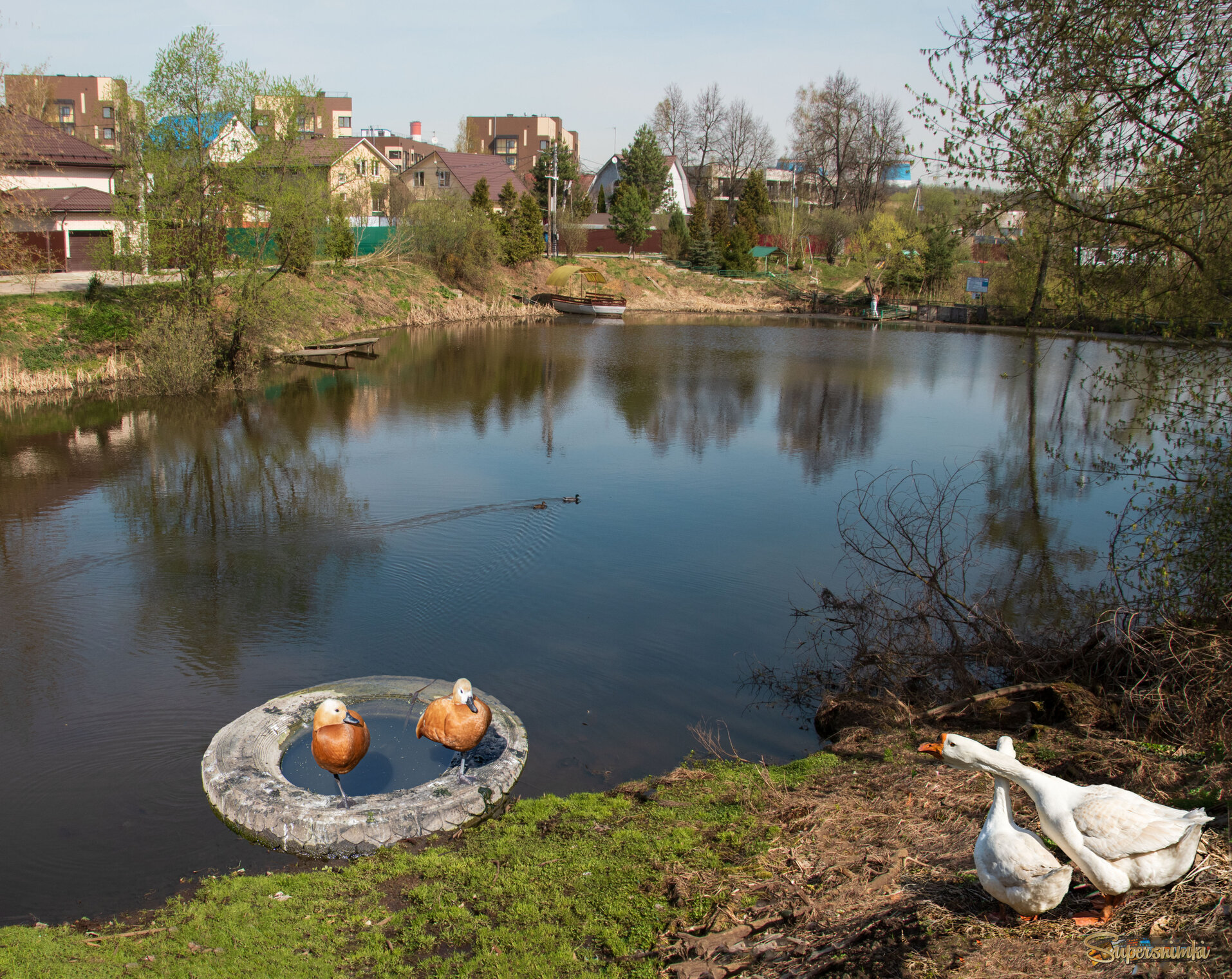 Новенькие прилетели