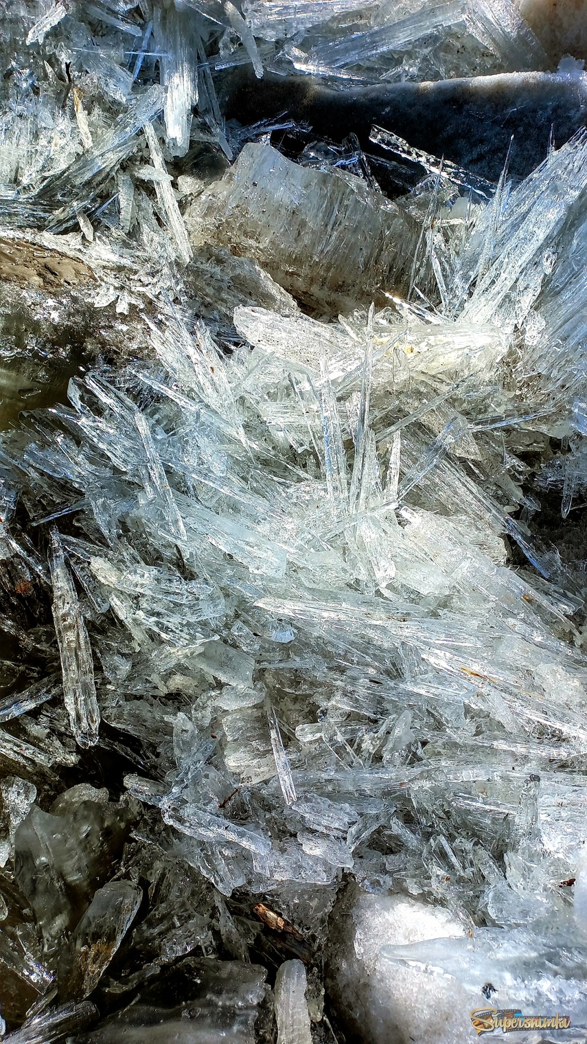 680634458e3715eb9fd63999