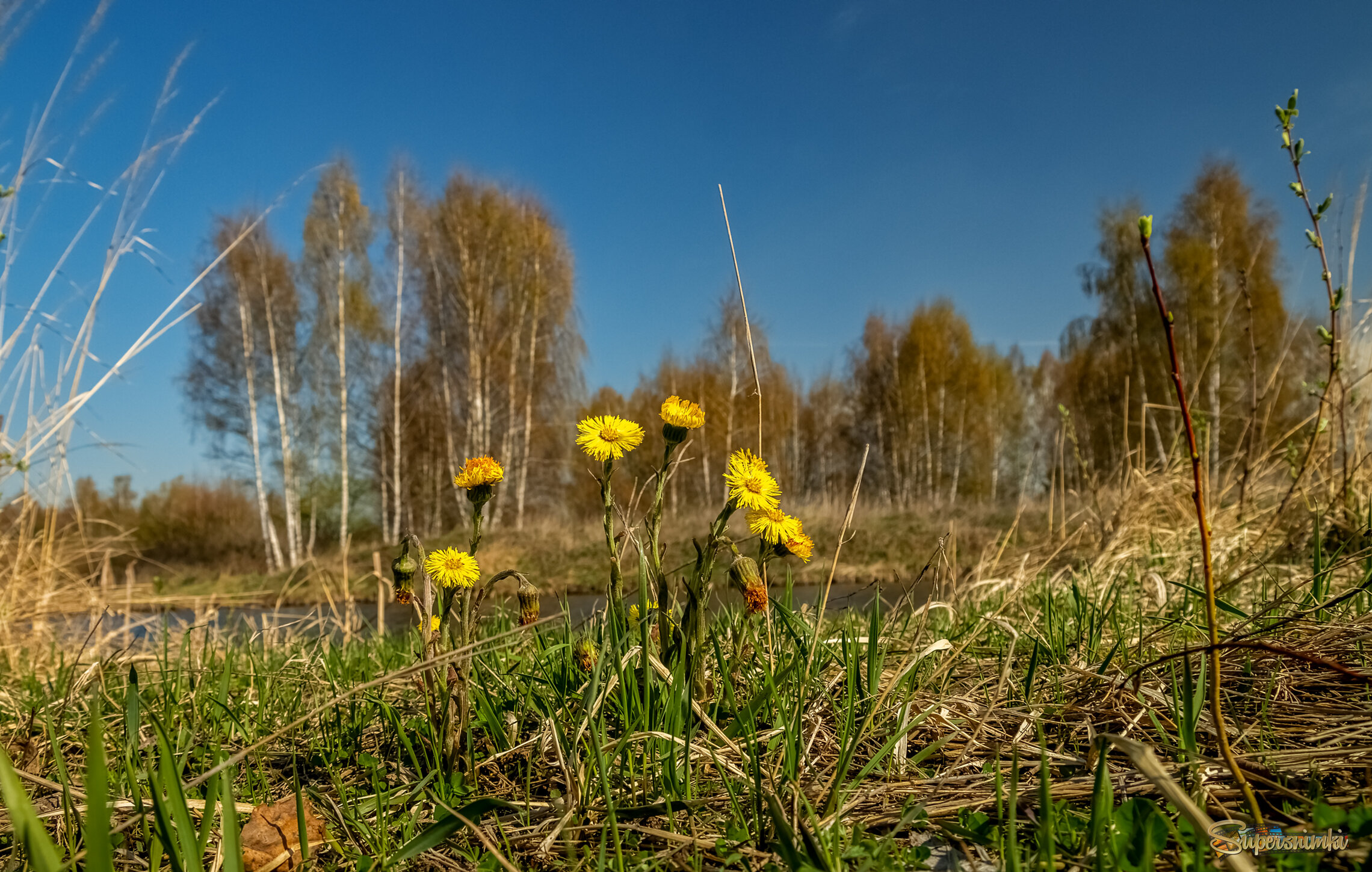 ВЕСНА,ВЕСНА,ВЕСНА ... 