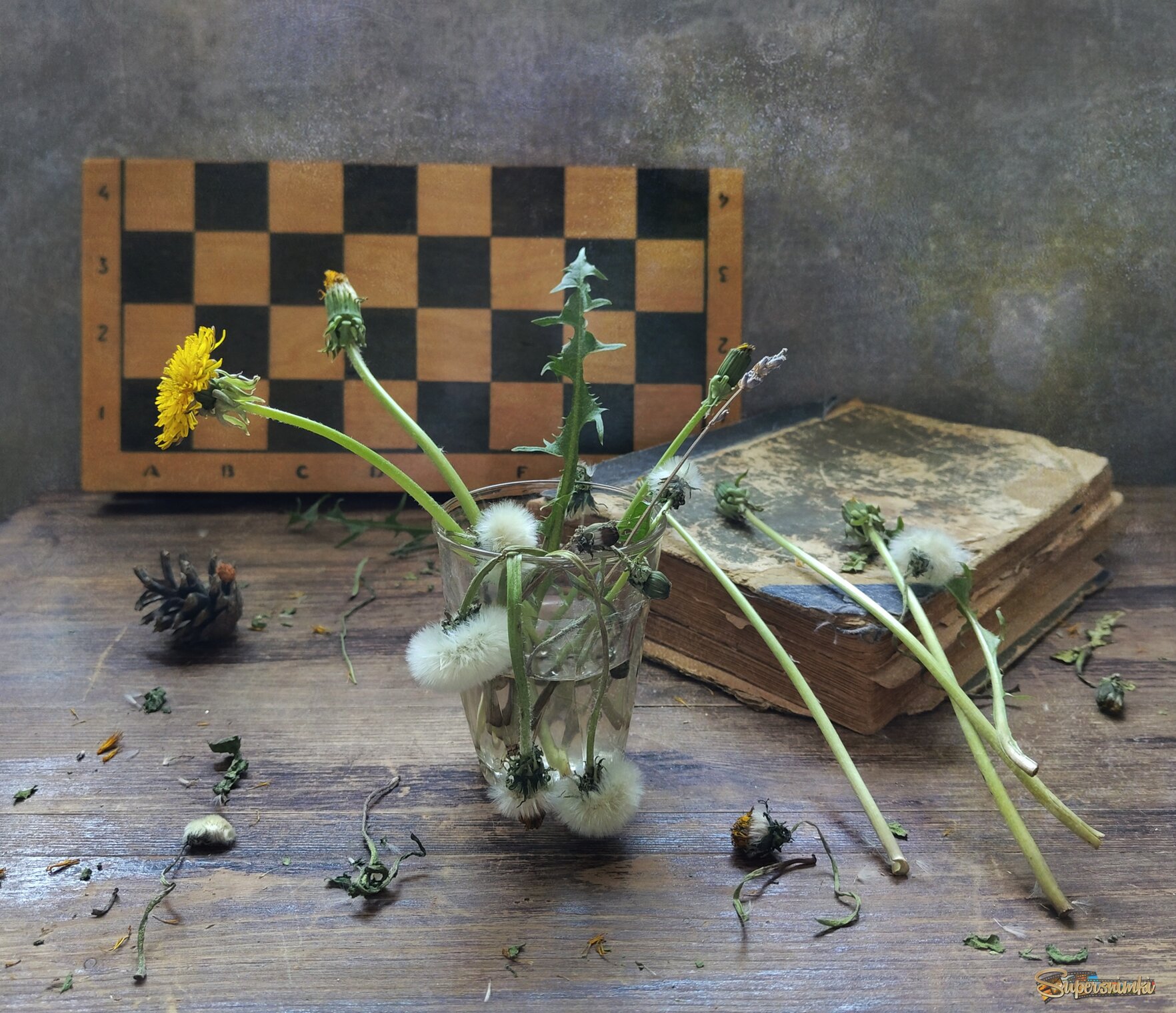 Одуванчики и книга