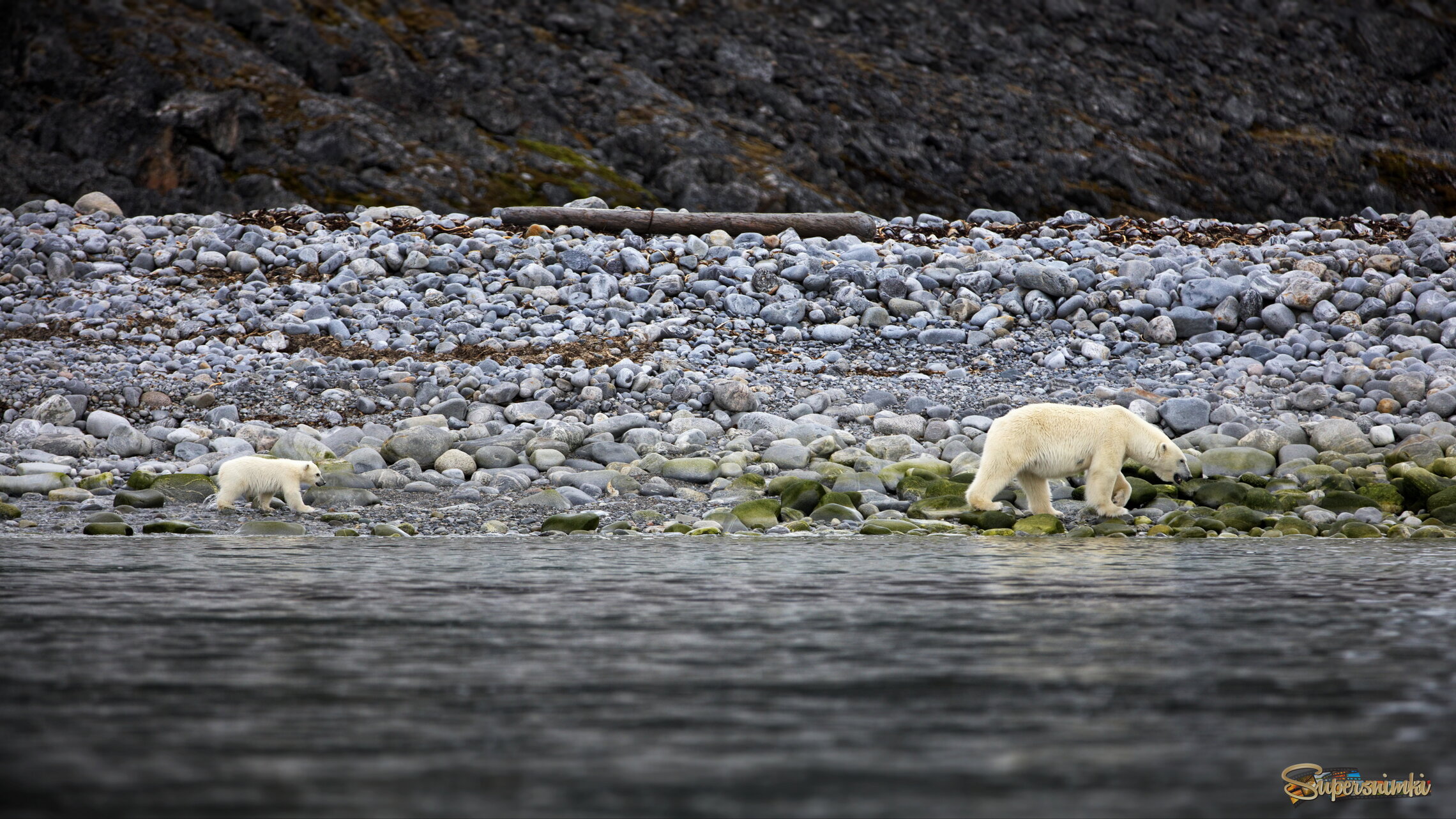 Побредушки