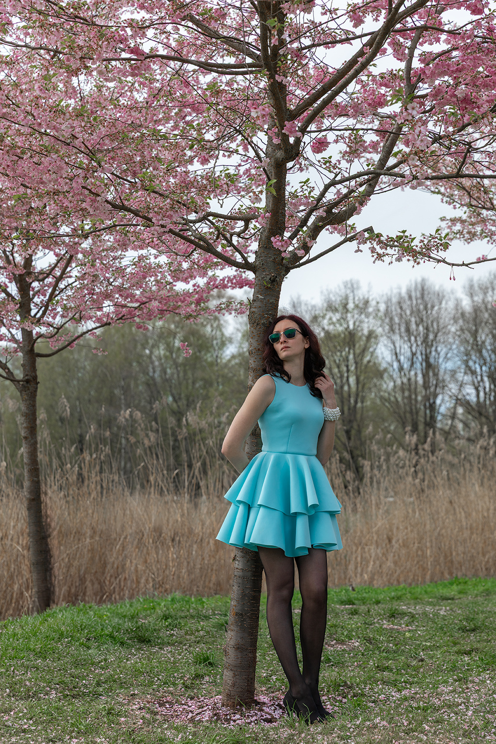 Когда цветёт сакура