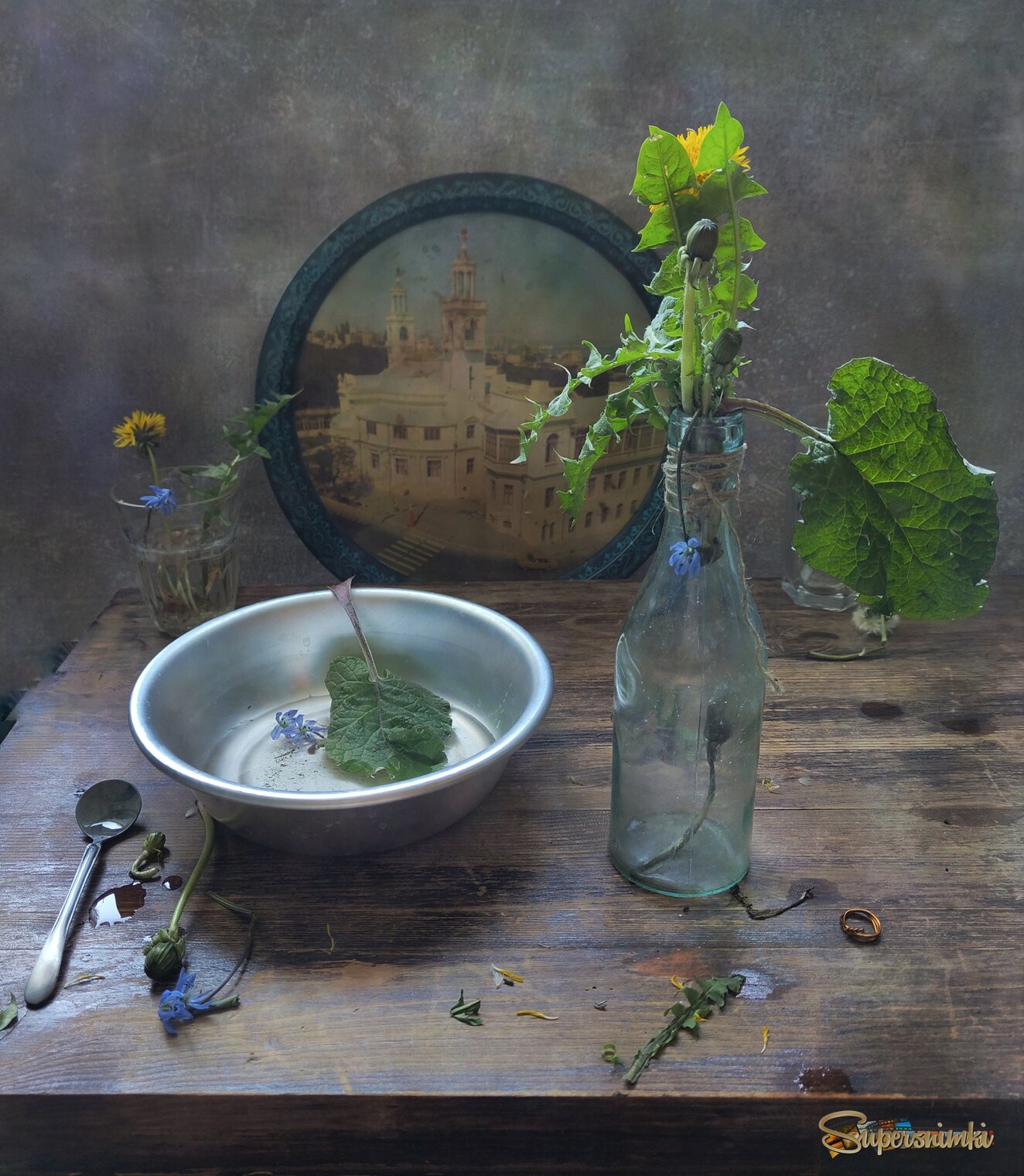 Одуванчики