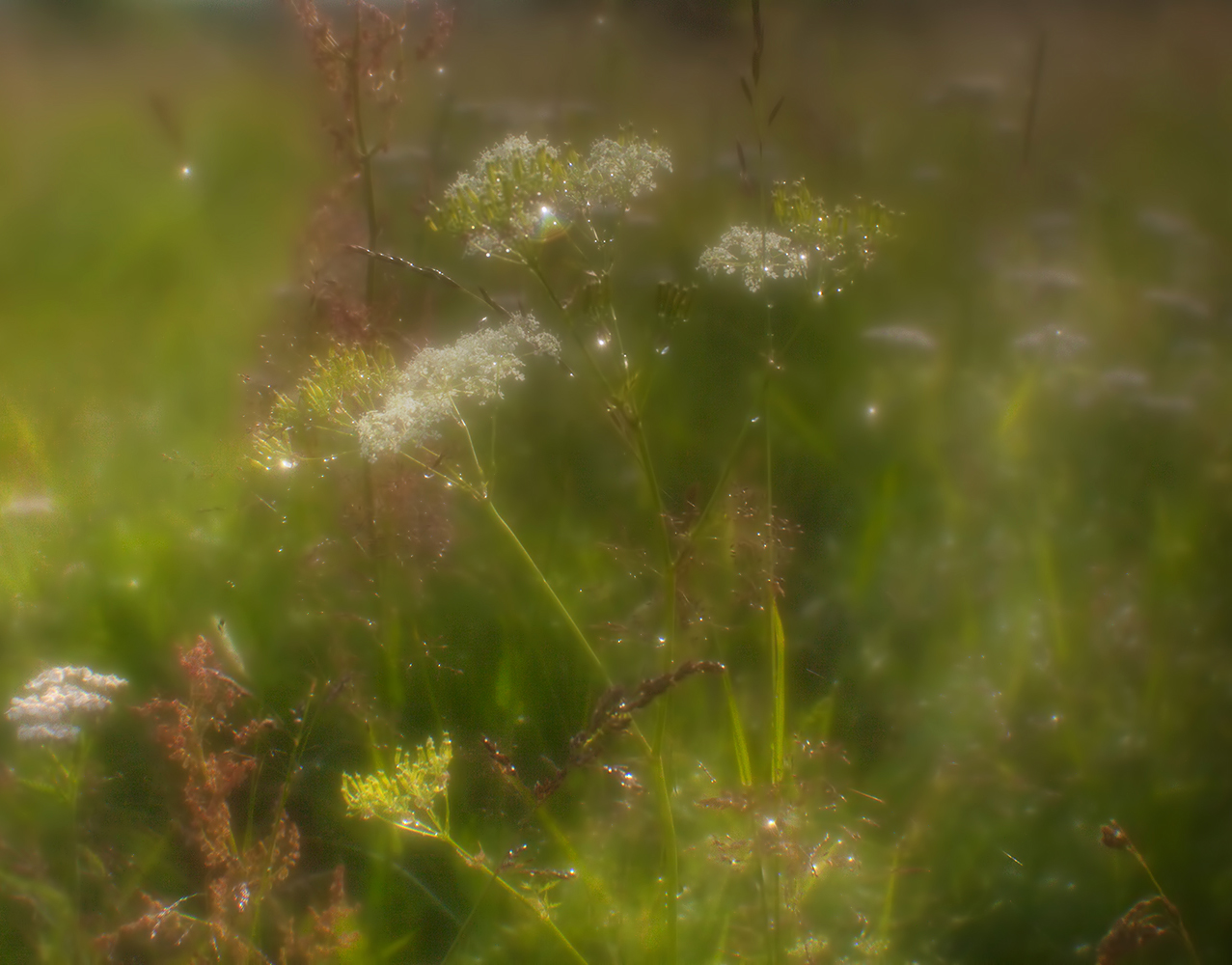 Моноклевое настроение...