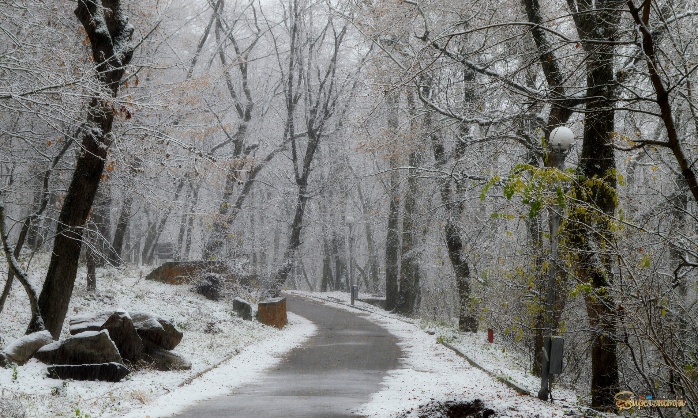 Первый снег....  