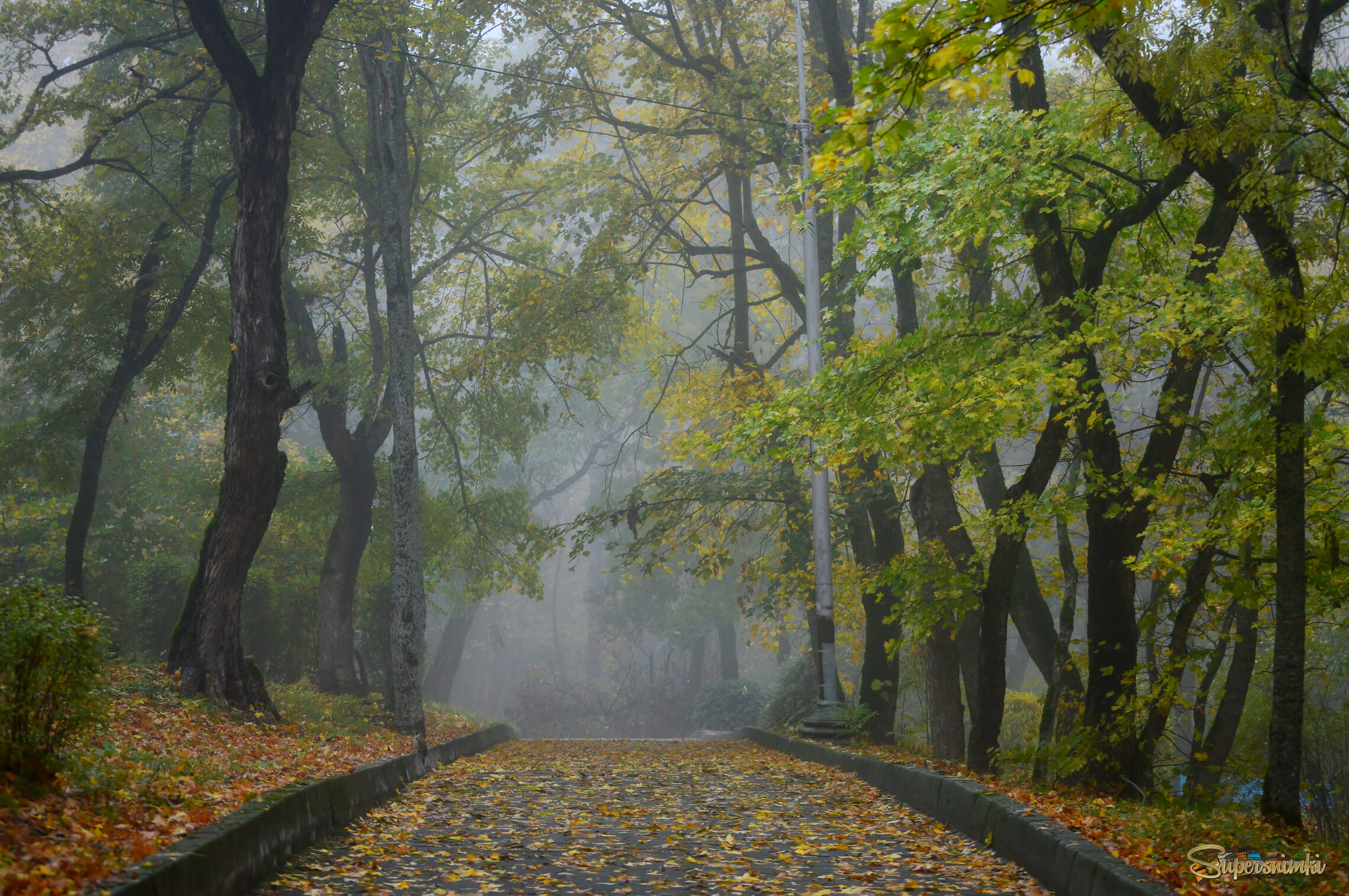 Пути туманные.......