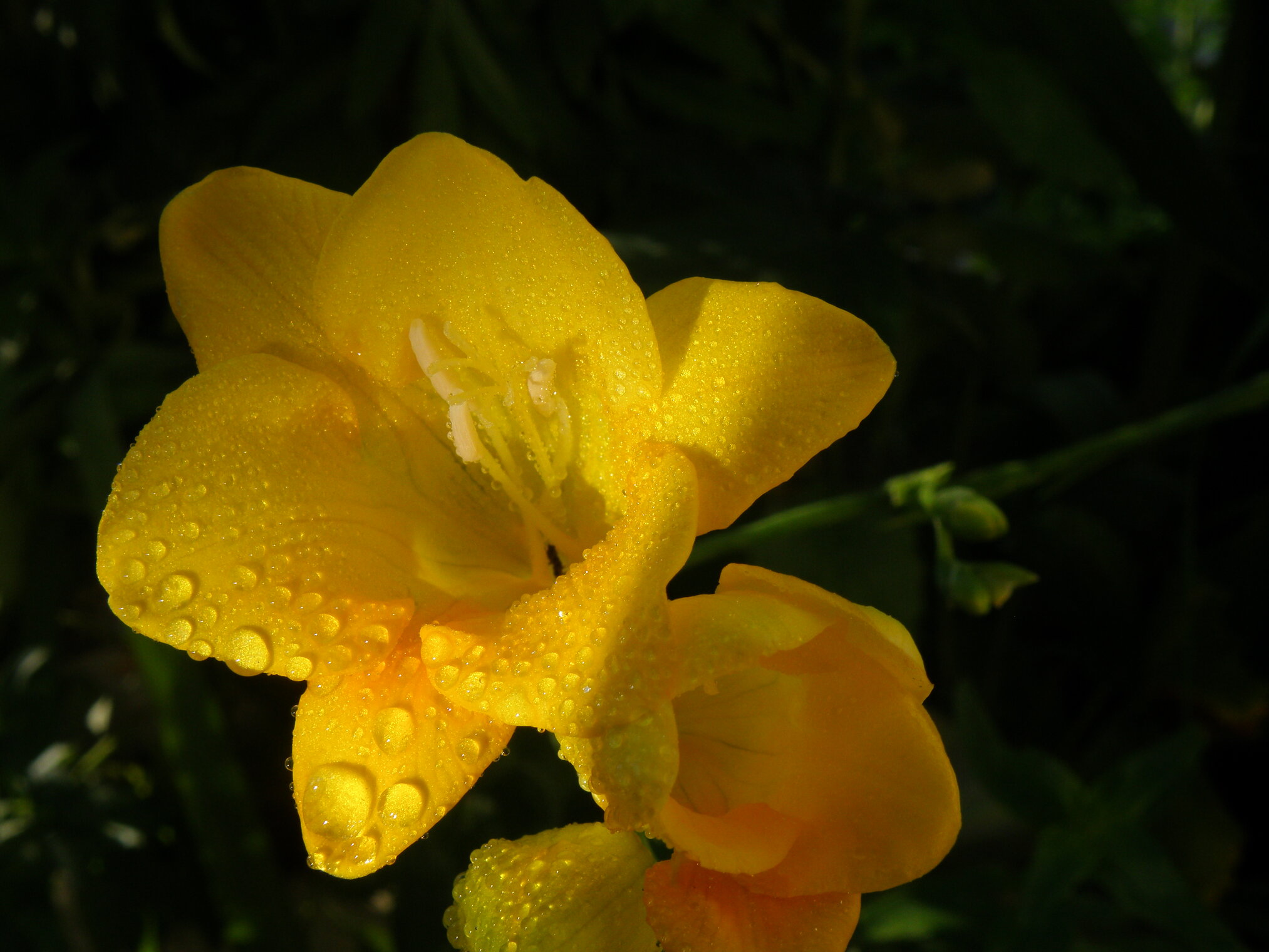 68093ee3644db1b045d63999