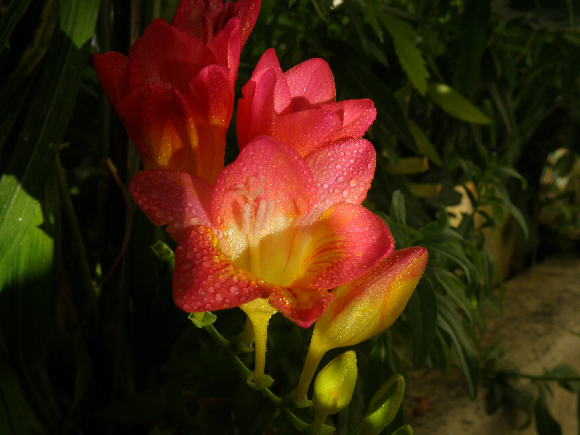 680a610d7a67bd8b4dd6398e