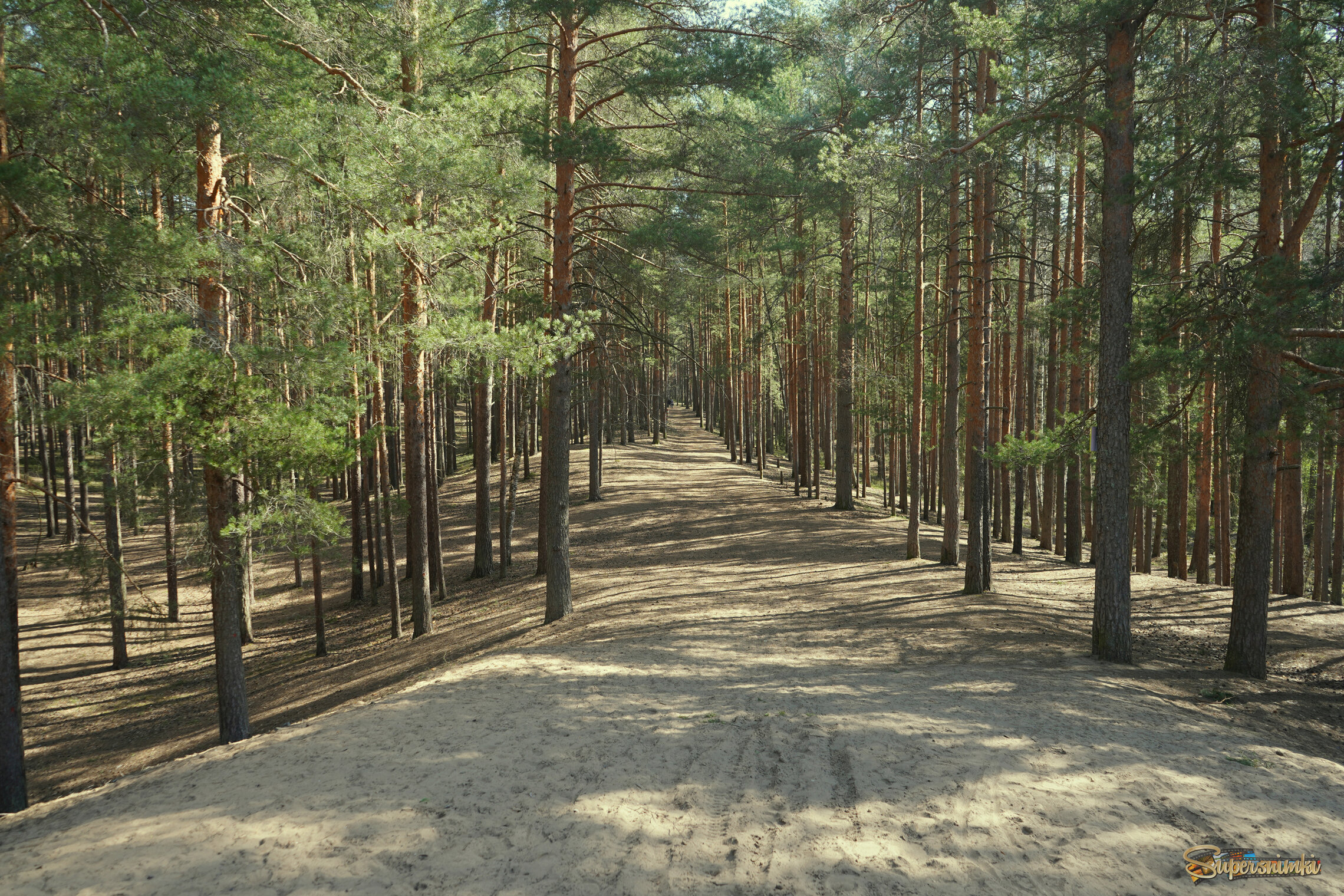 Пик Тяпкина