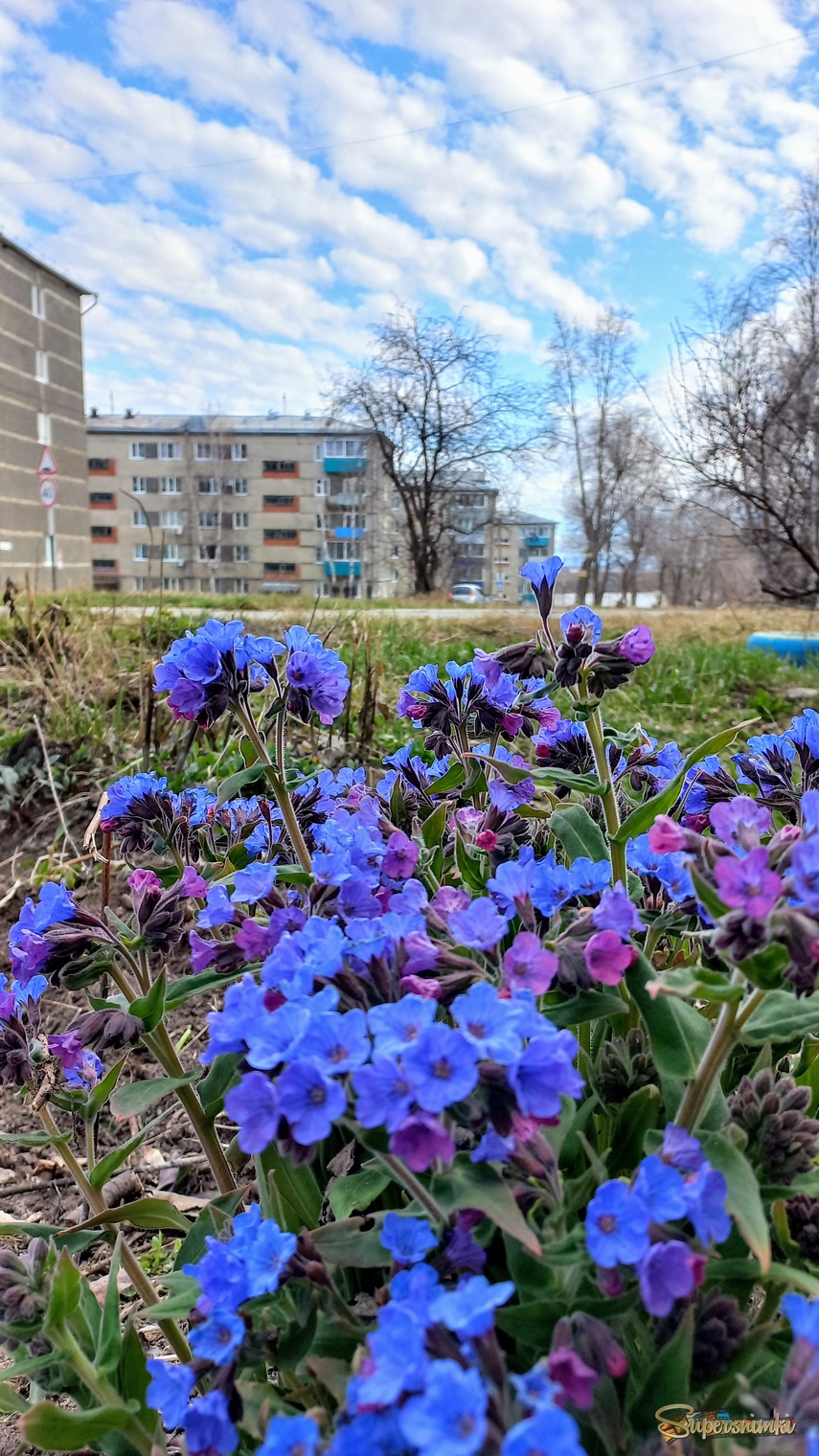 680b9df4acb0fb5197d6398d