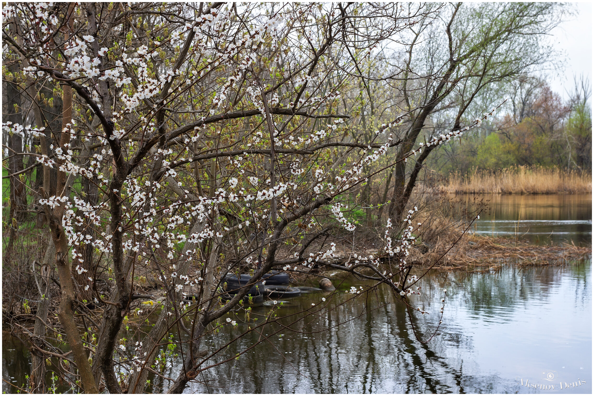 Когда по весне природа просыпается