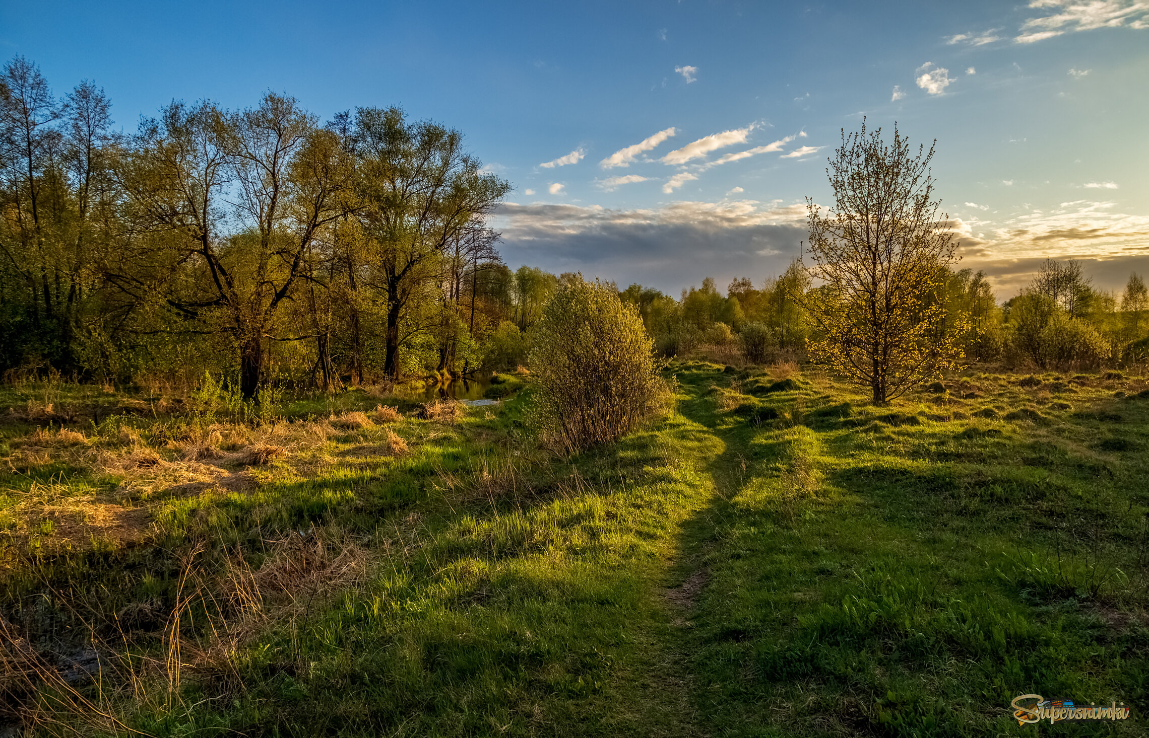 Весенний вечер 