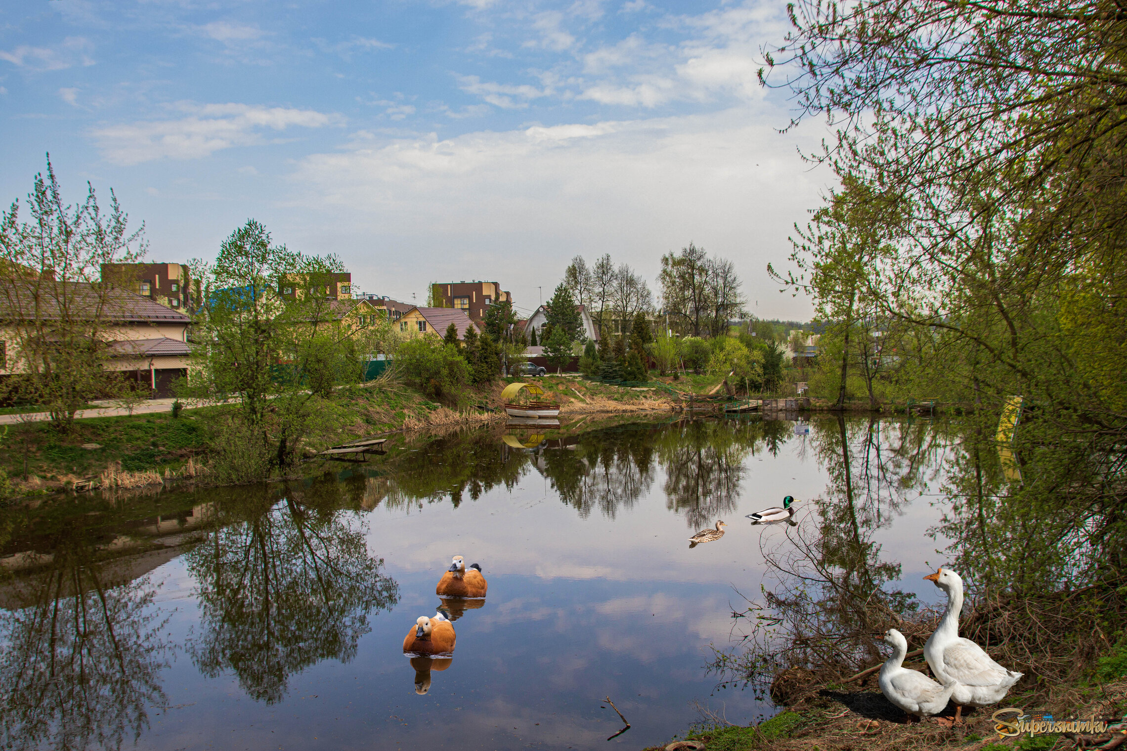 Подмосковье. Весна на пруду