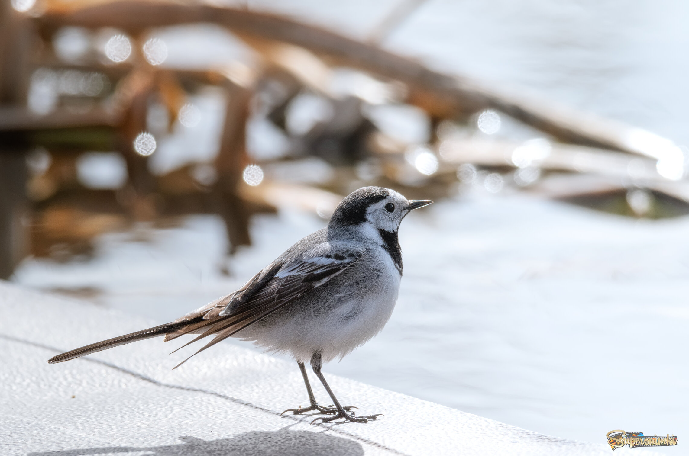 ТАМ, ЗА ГОРИЗОНТОМ...