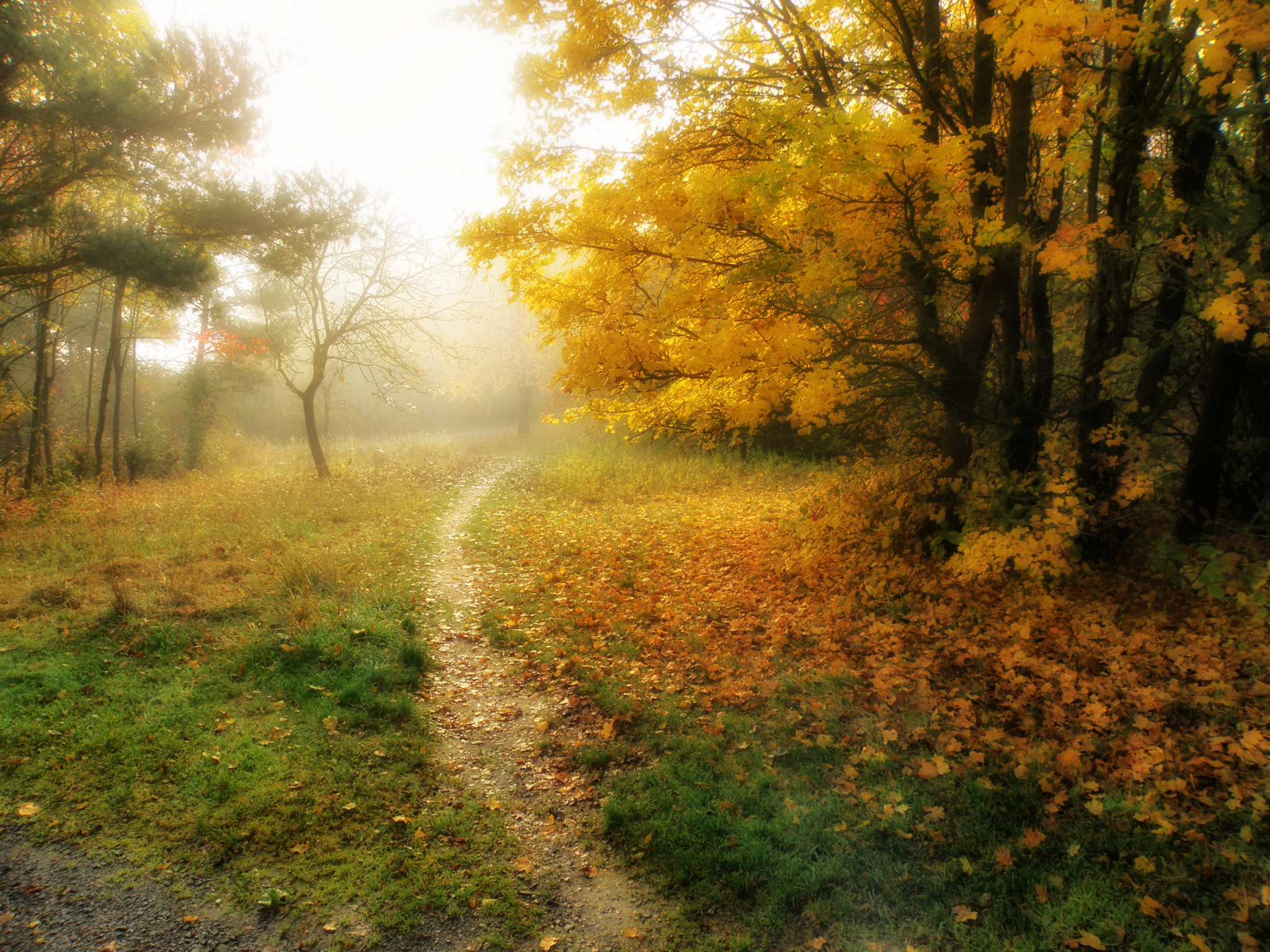 680df386018c37f9d2d6398f