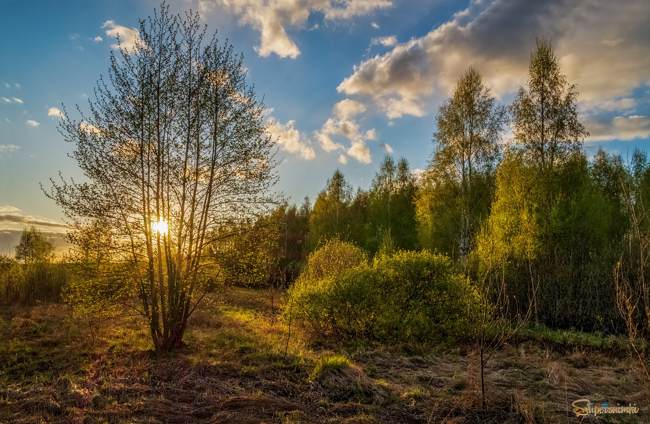 Весенний вечер 2 