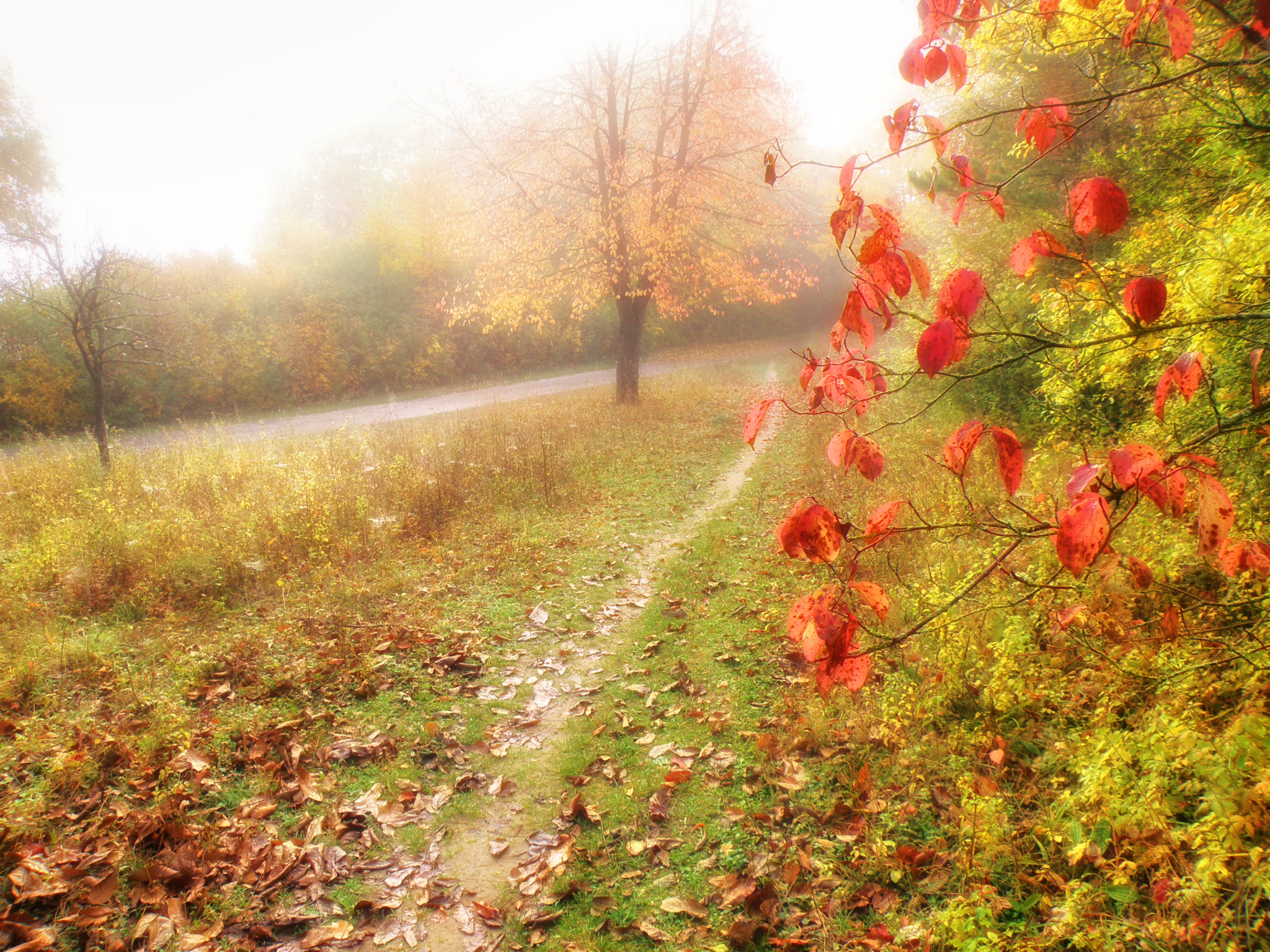 680df3b350af3eeab5d6398d