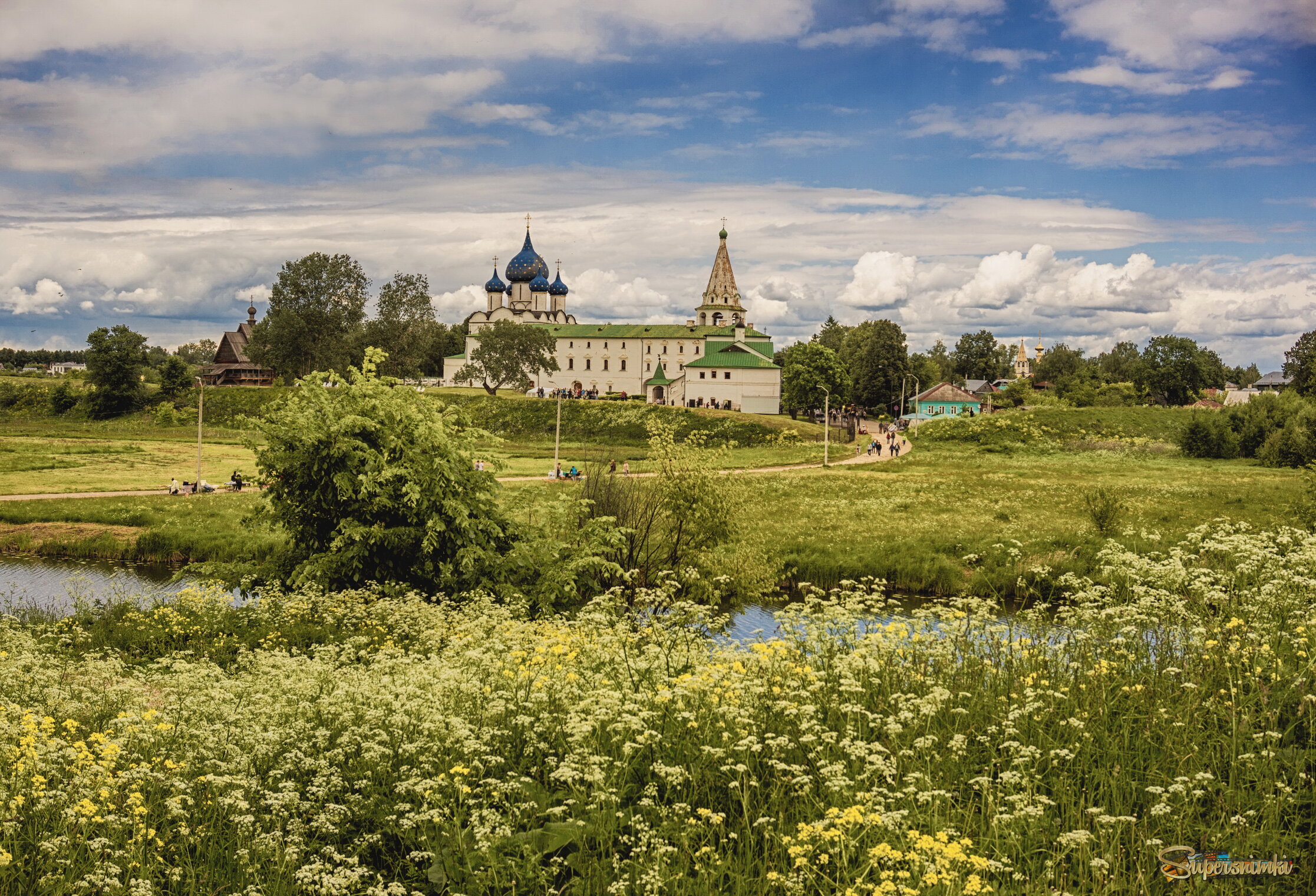 Весеннее раздолье