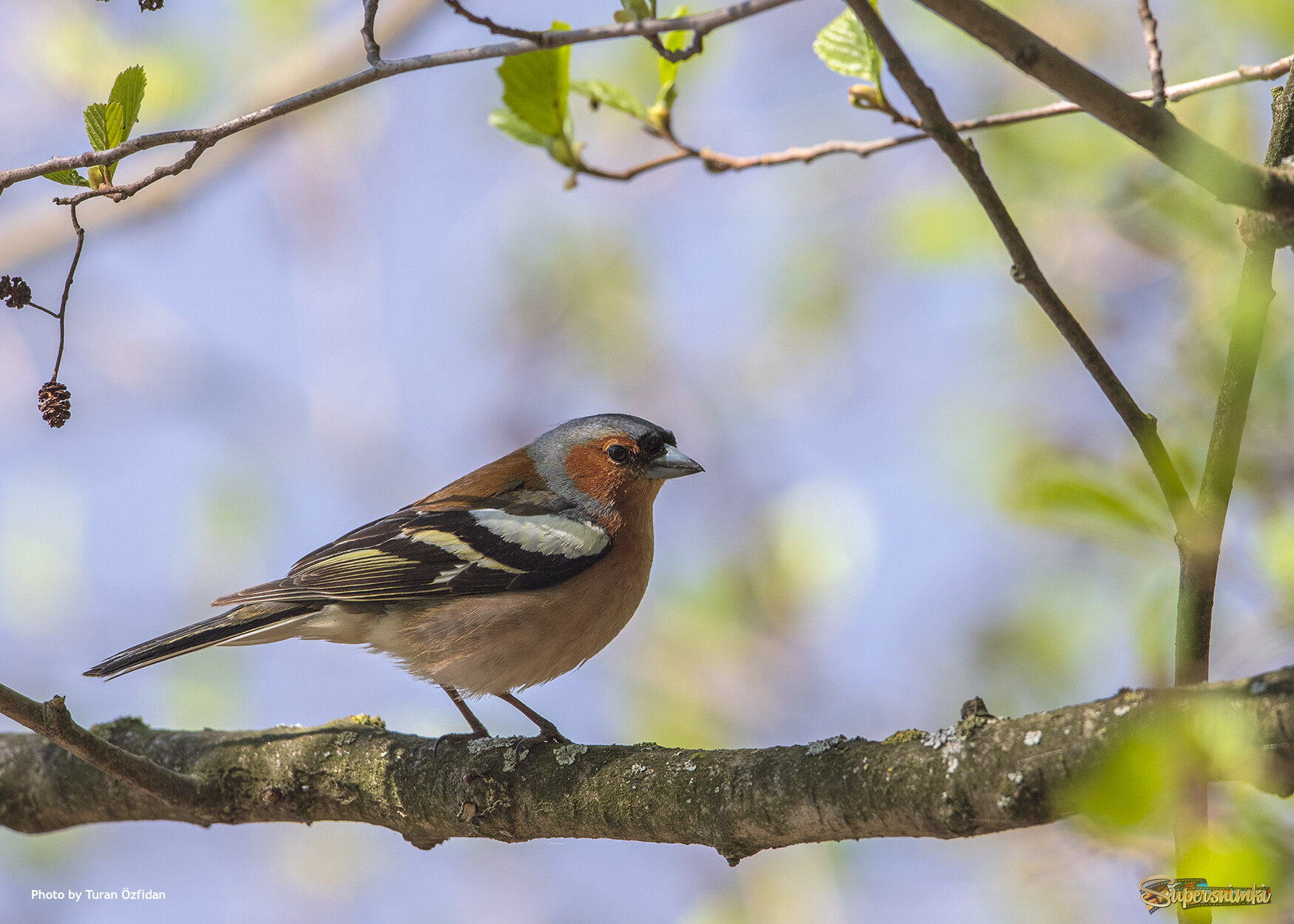 680fd43523fef96e5ad6398d