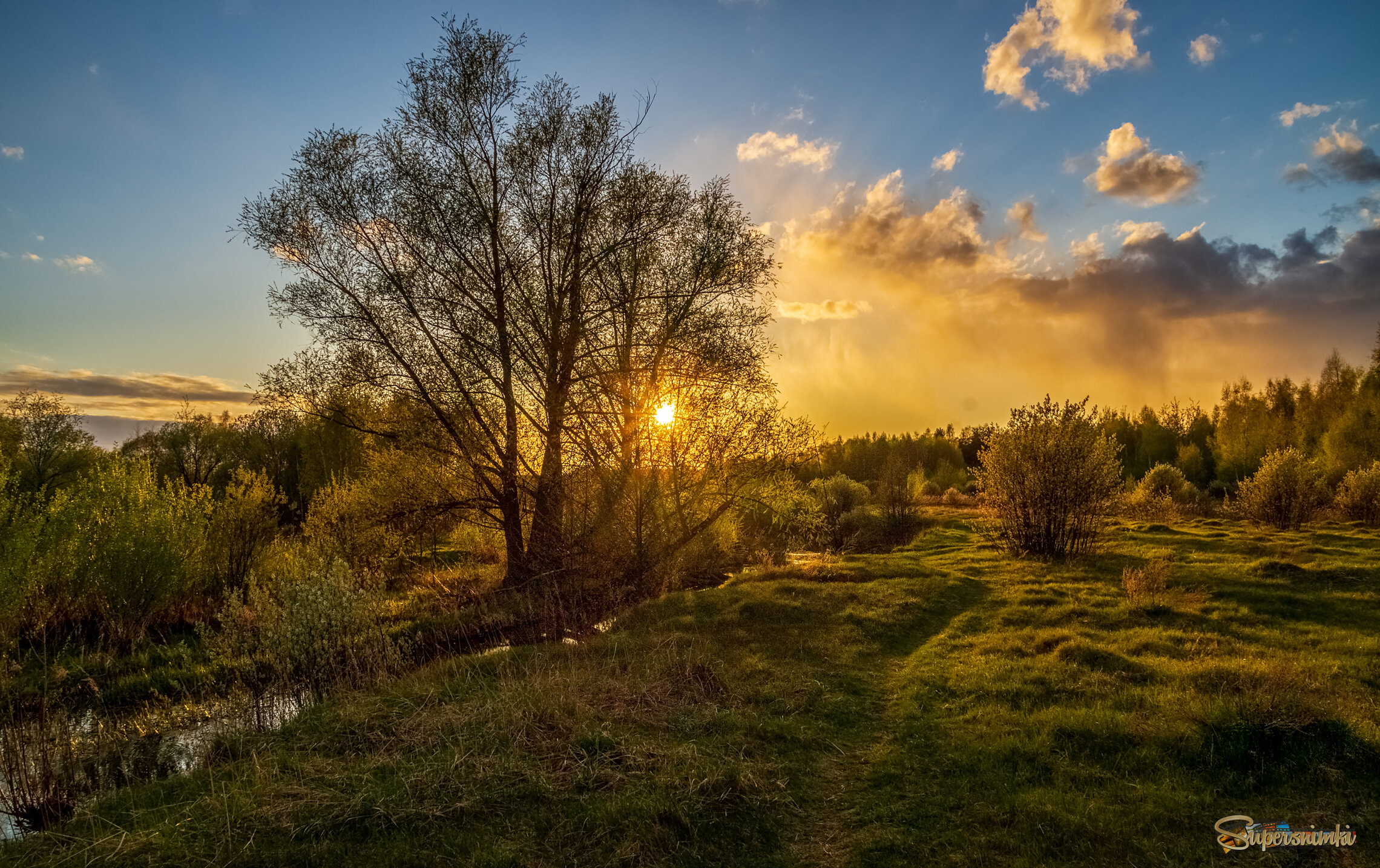 Весенний вечер 4 