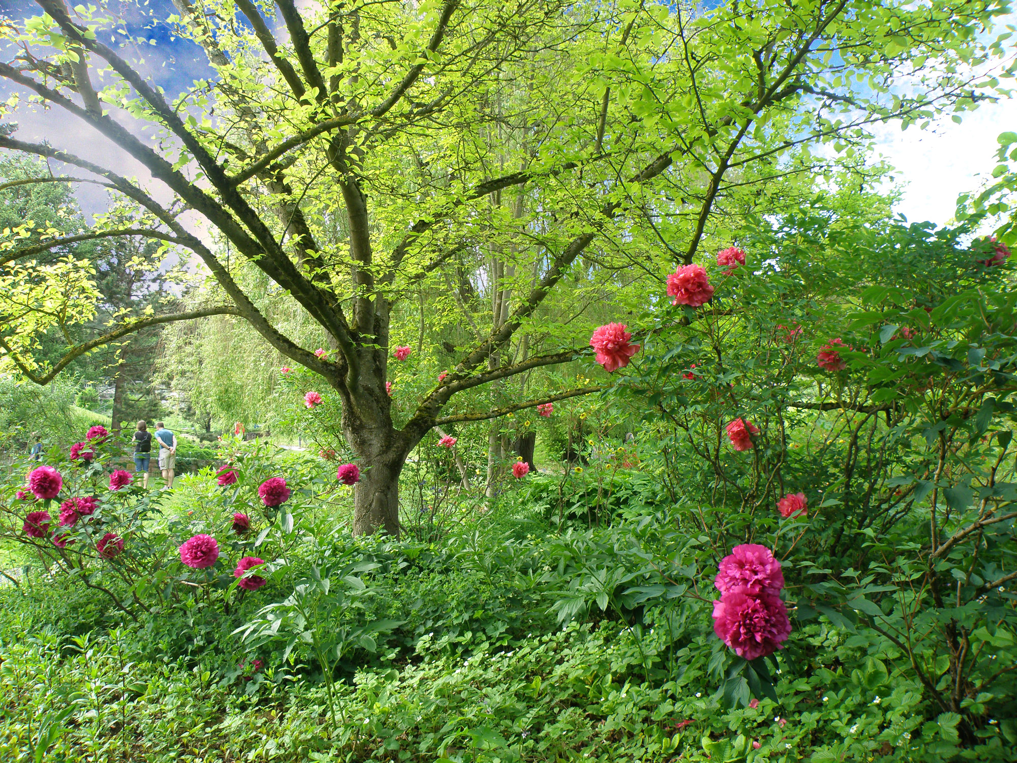 680fcdc84383cb7a4ed6398d