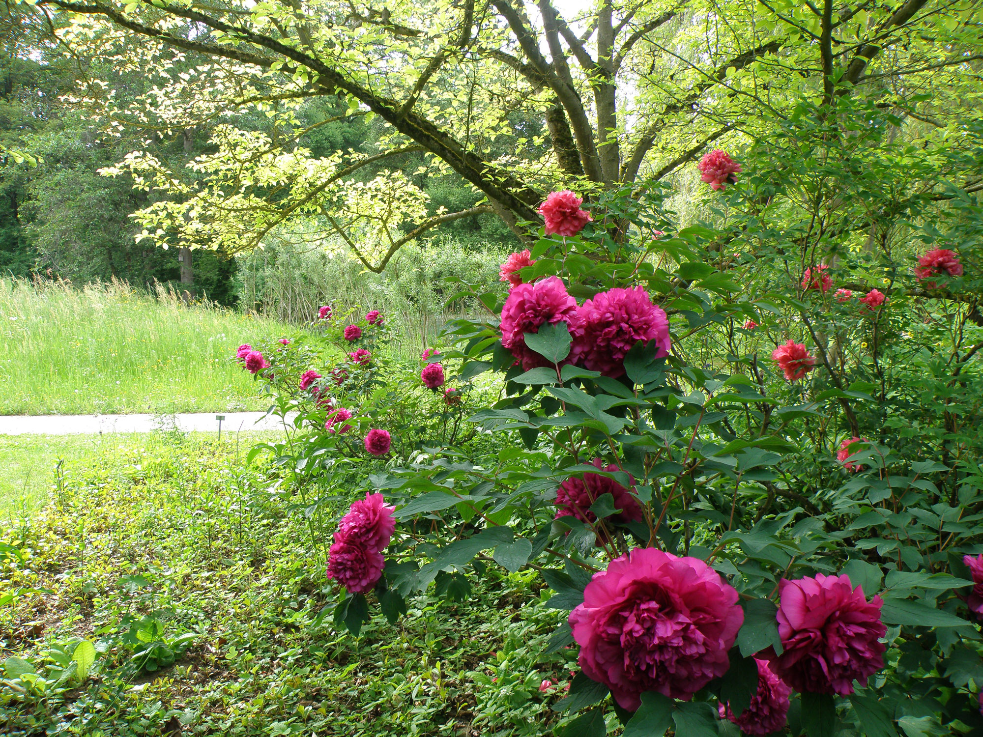 680fcdd9aa6d778a95d6398d