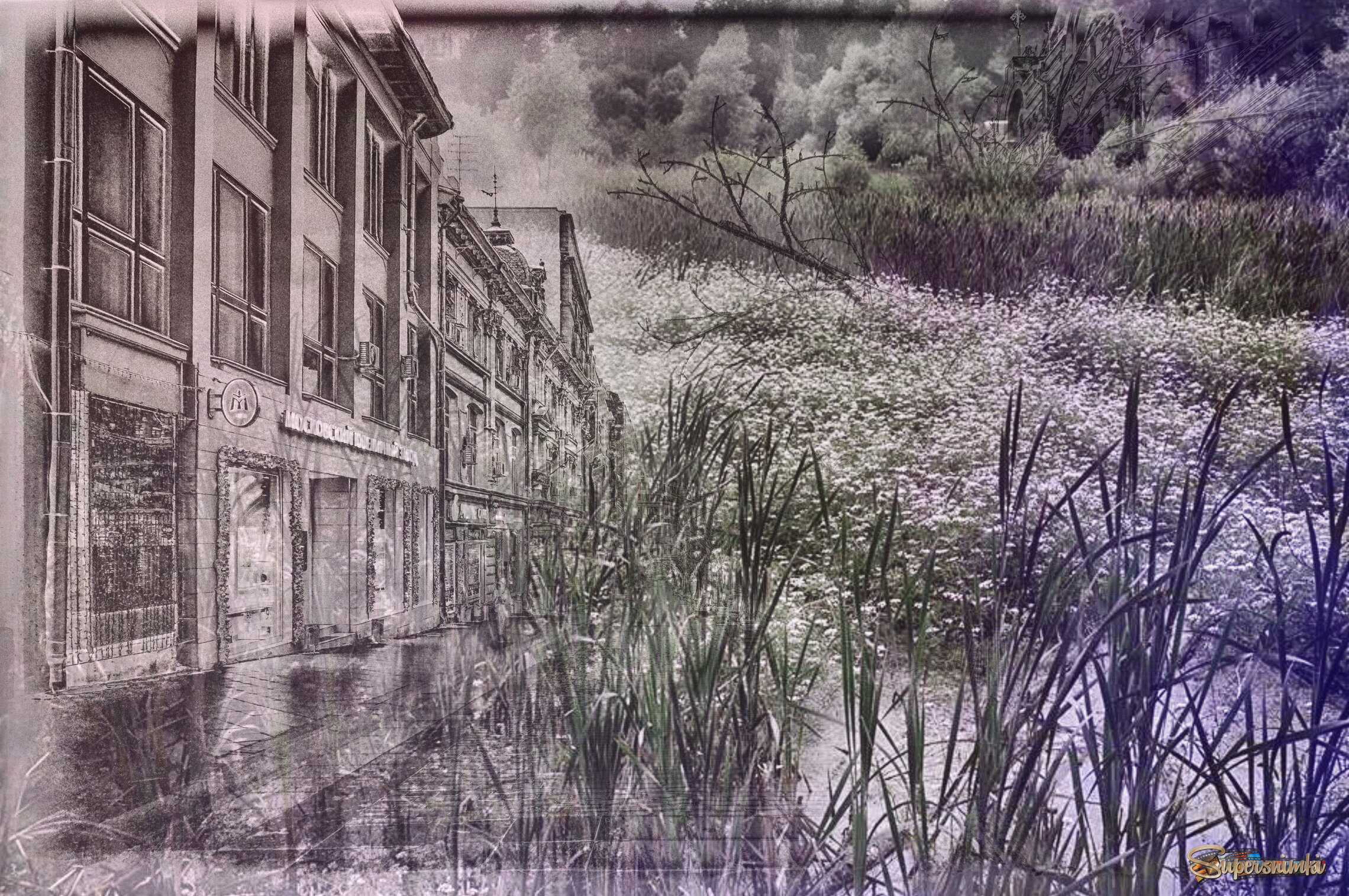 Волшебный сон