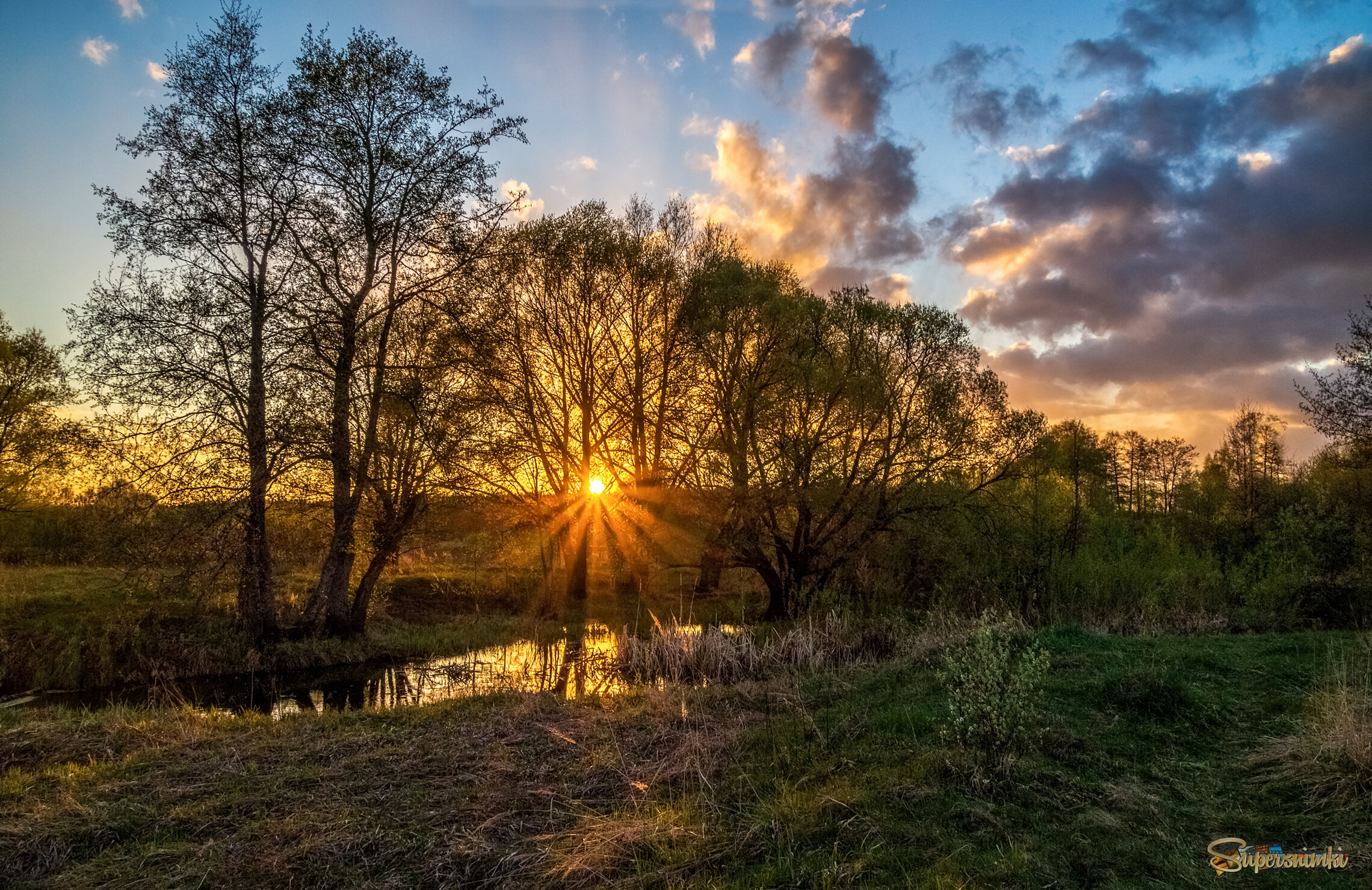 Весенний вечер 5 