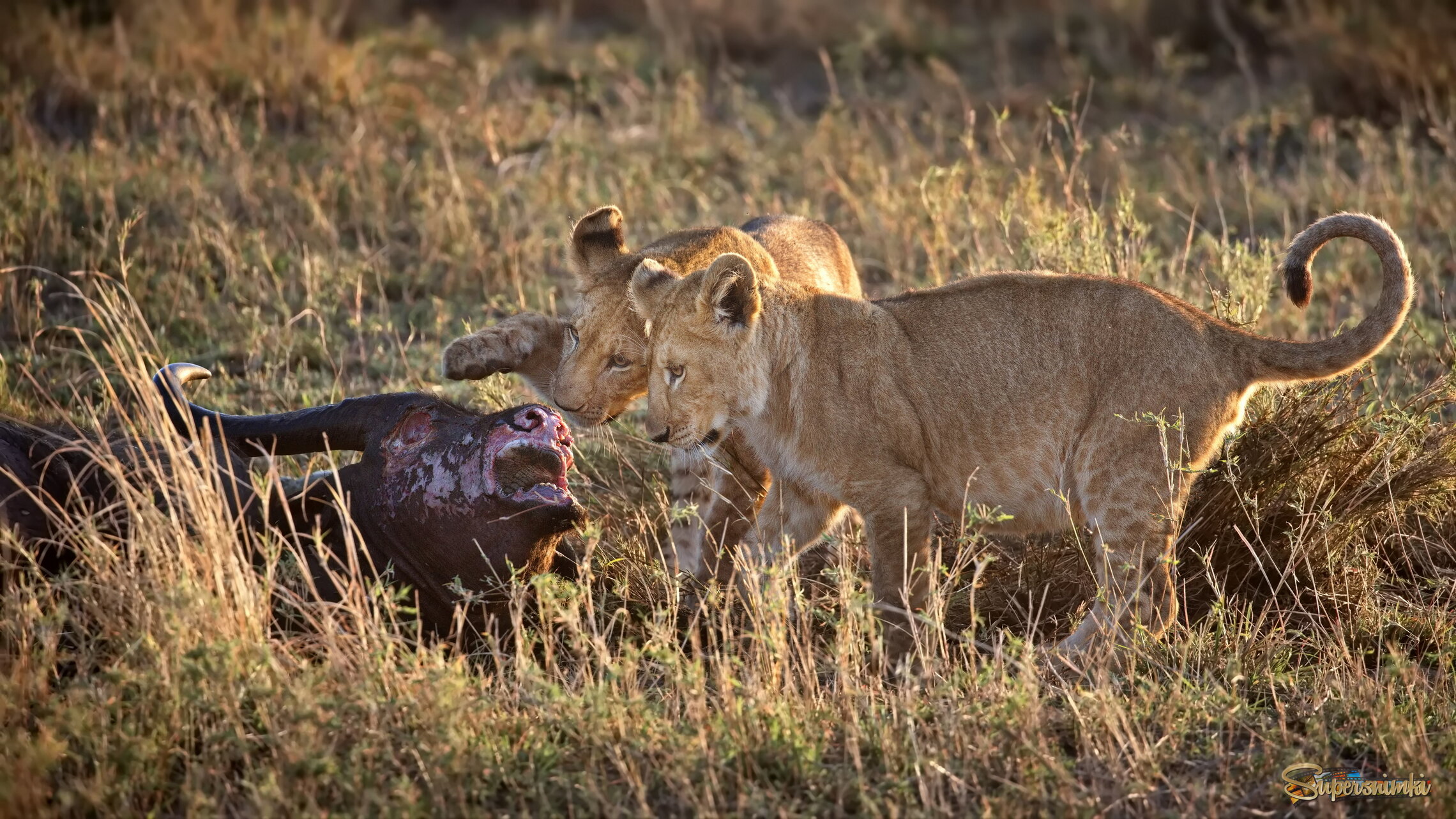 Так заканчивается детство