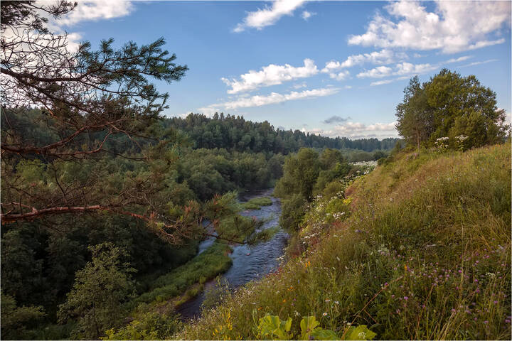 У реки