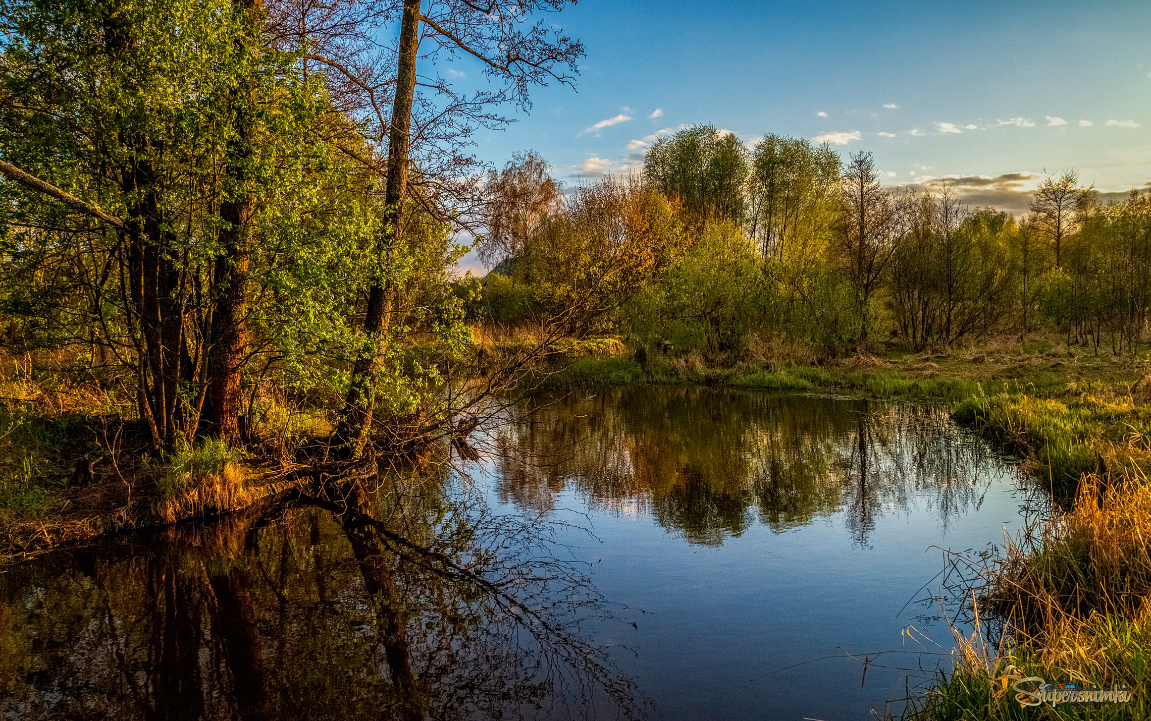 Весенний вечер 6 