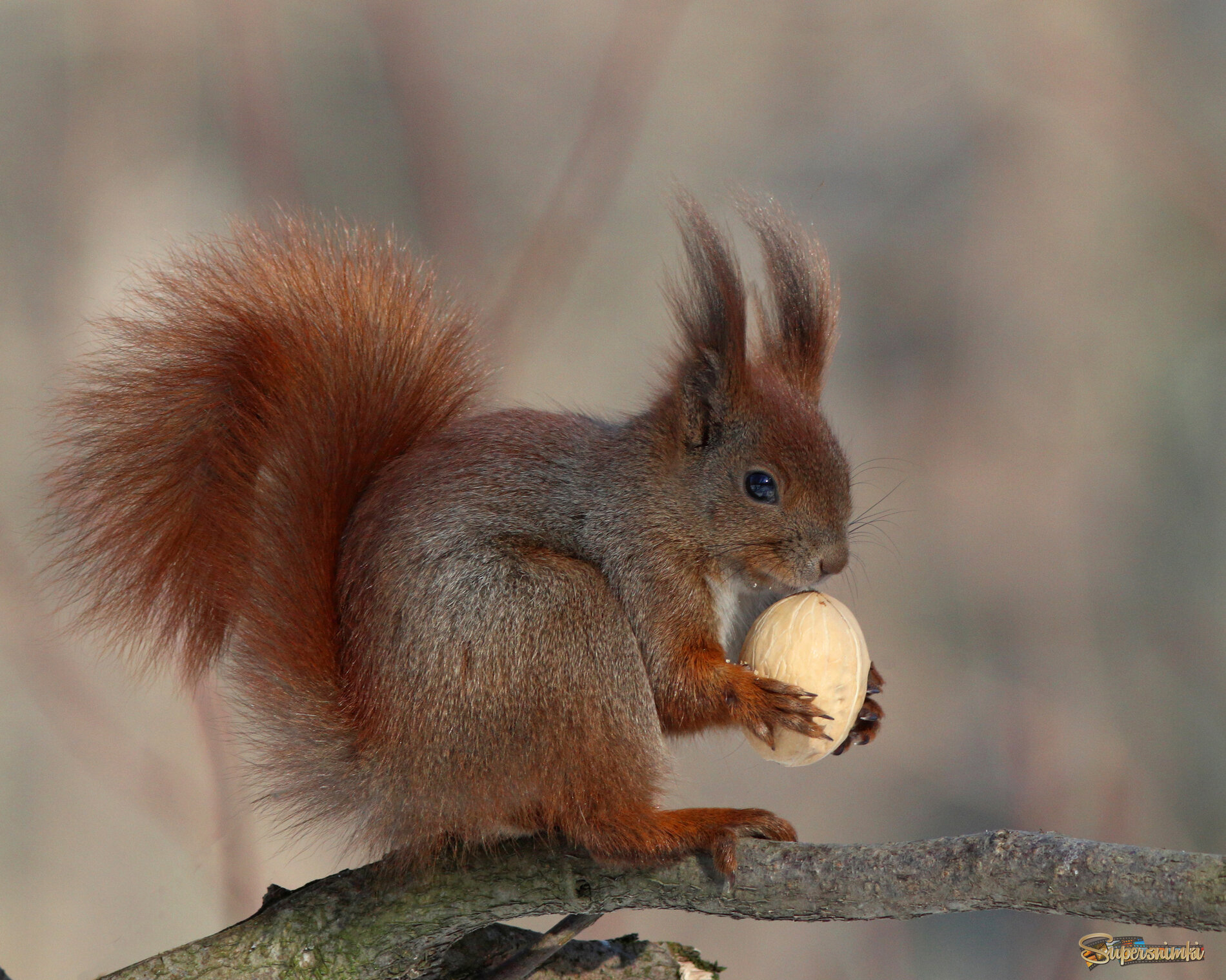 Никому не отдам!