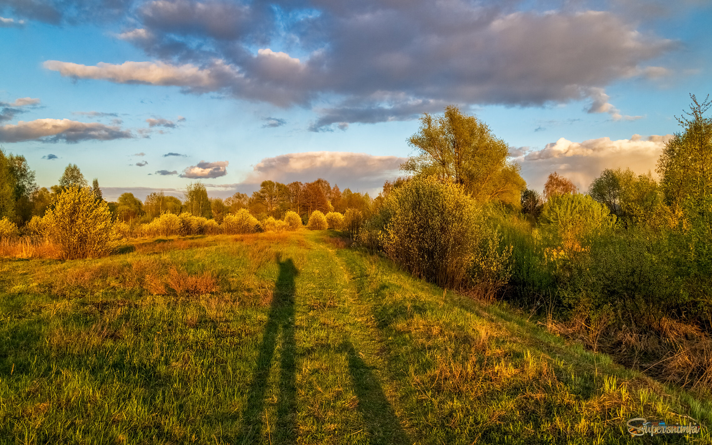 Весенний вечер 7 