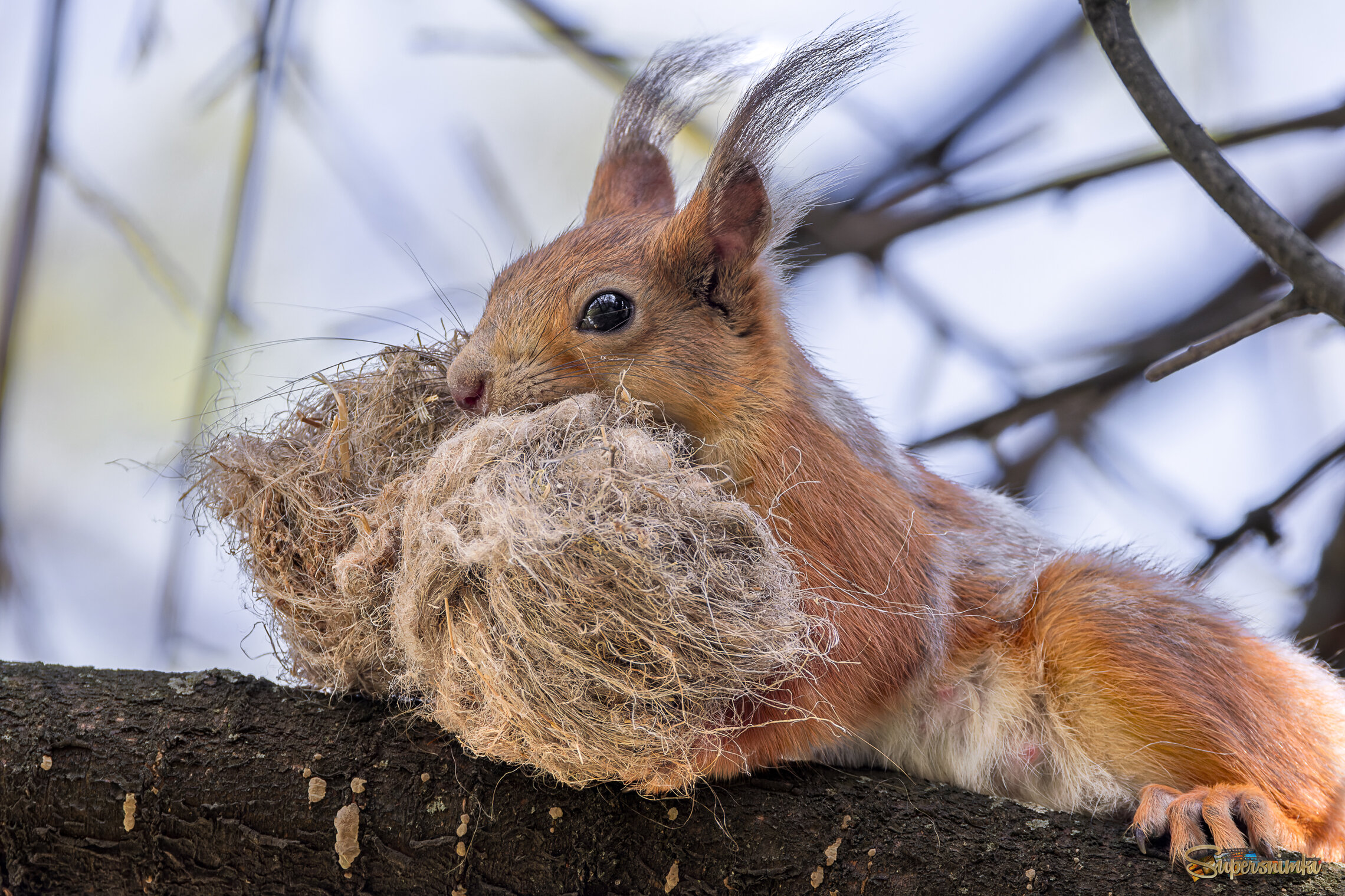 Строй материал