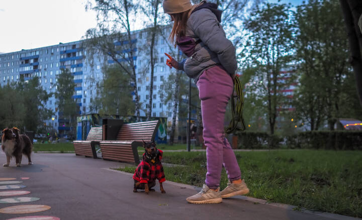 Непоседа