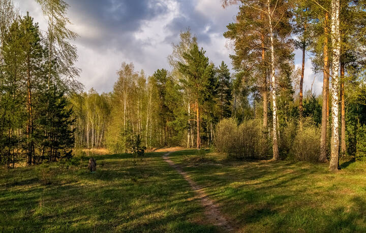 На исходе Апреля 