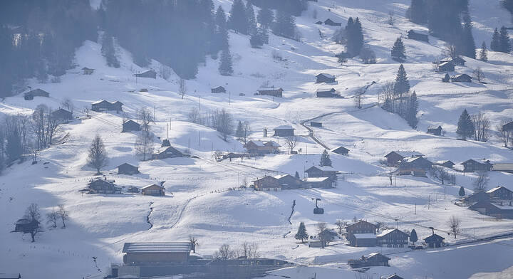 Зимние каникулы...