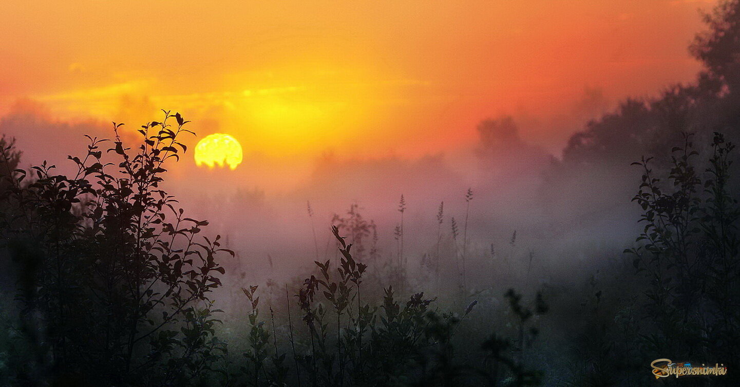 грибное утро