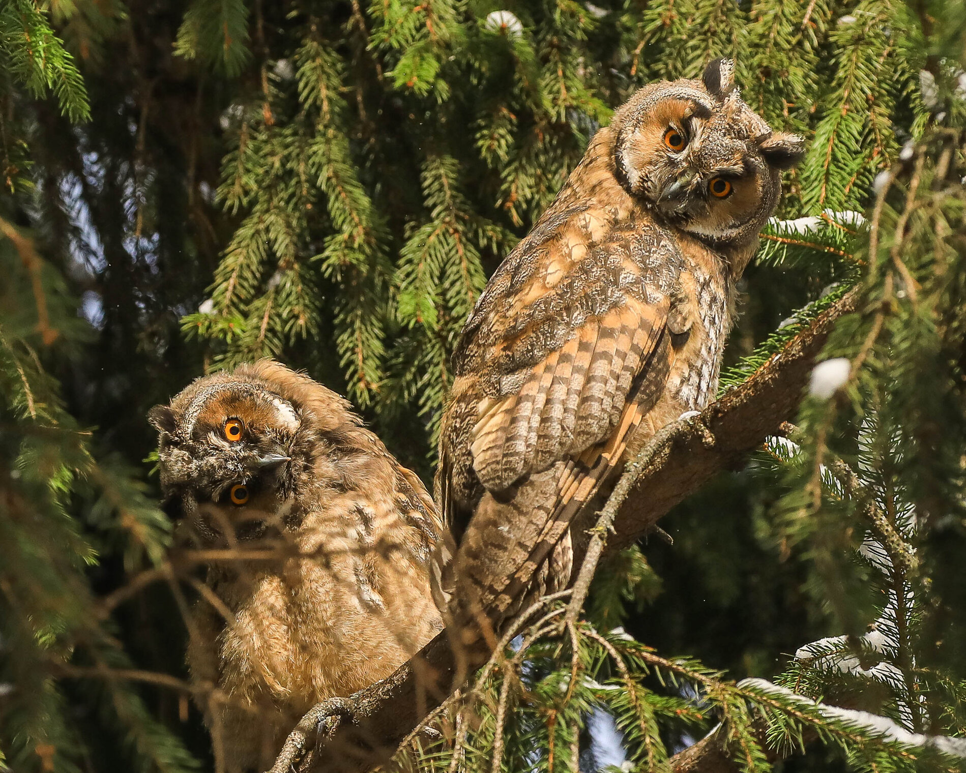 И снова зима... 