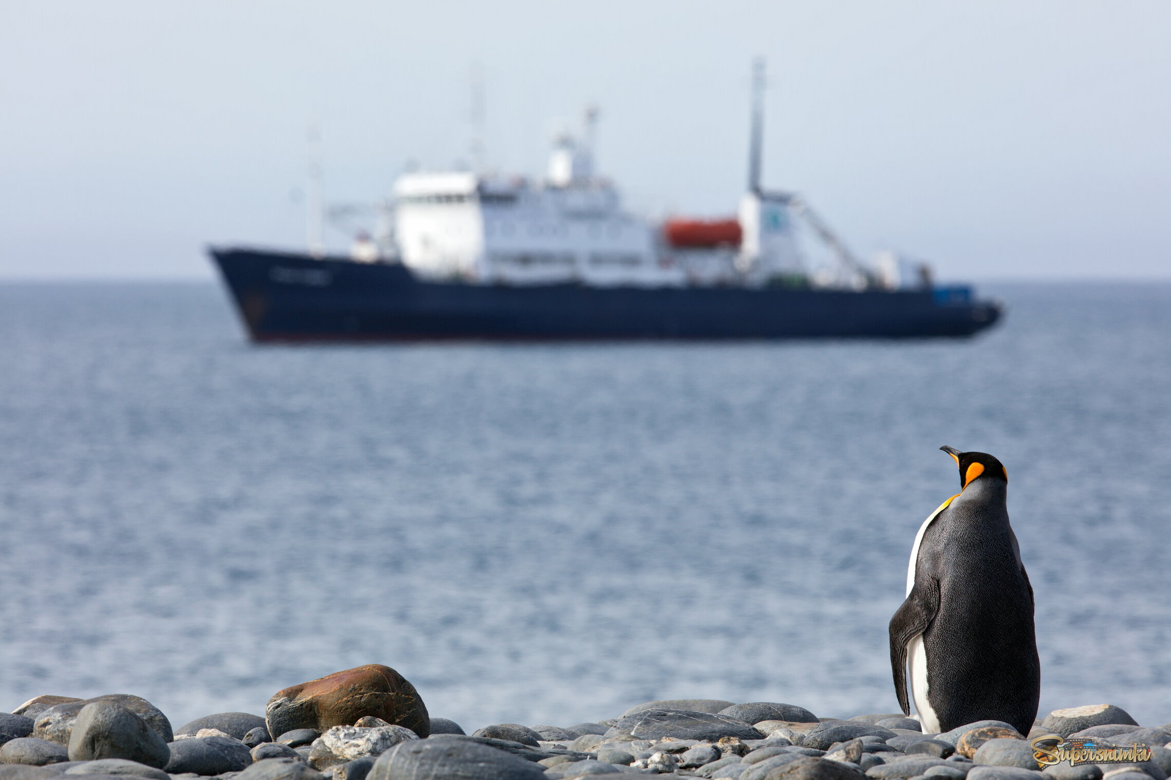 Как провожают пароходы...