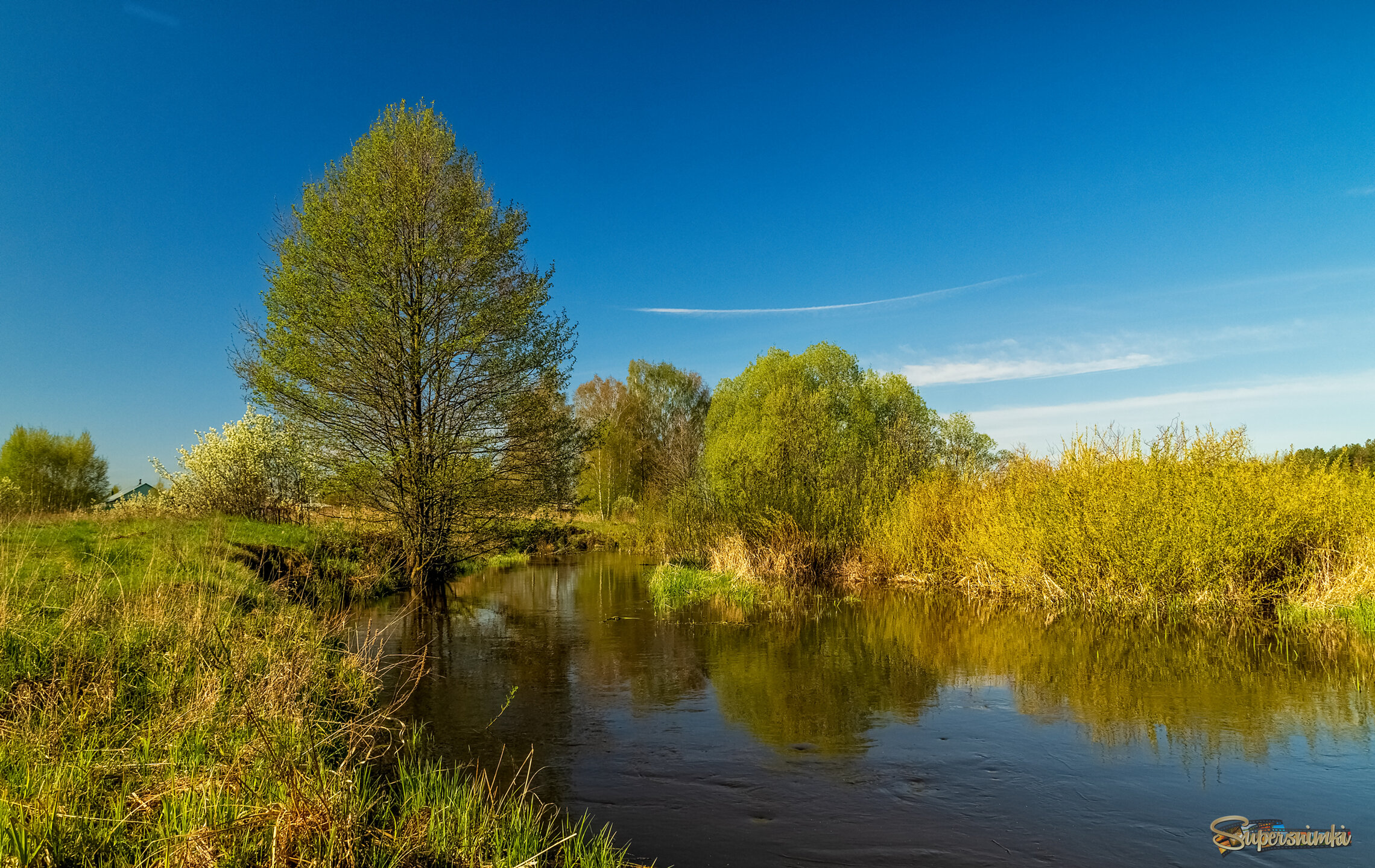 Майское утро 