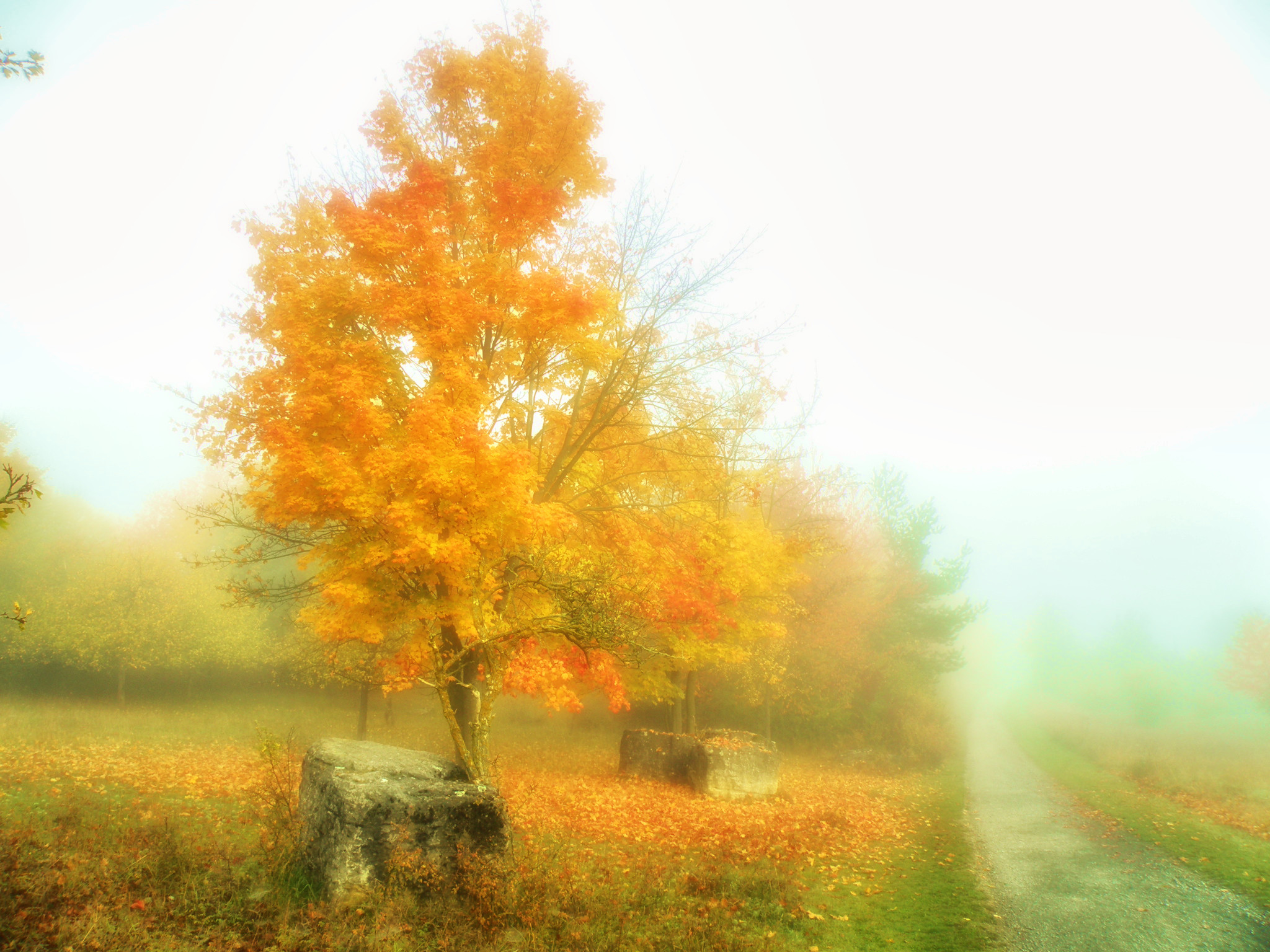 6817285b29f97998885bc2d7