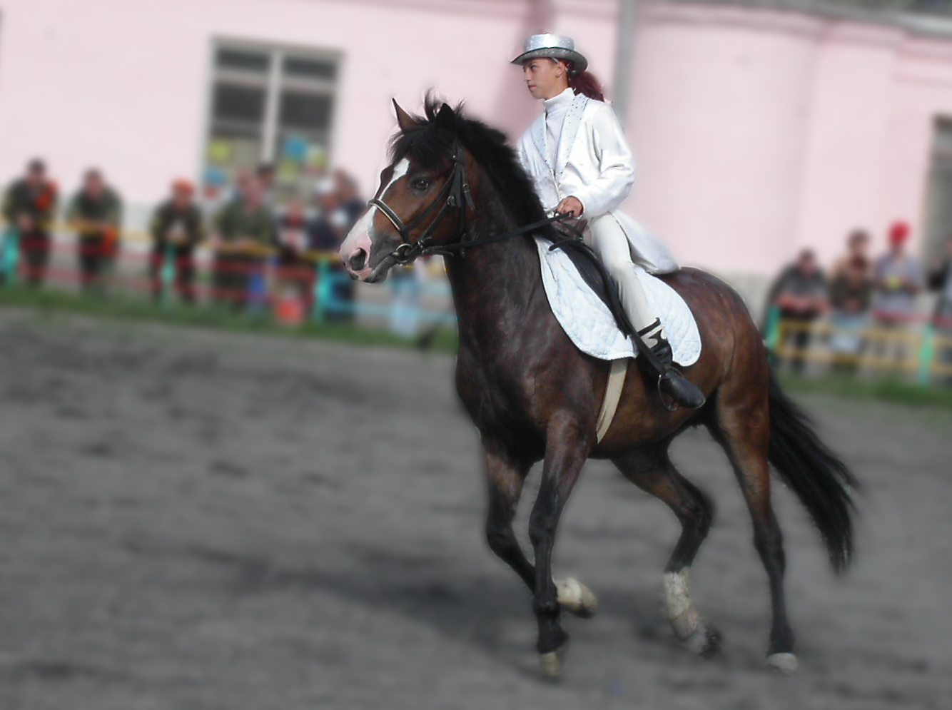 Северская амазонка