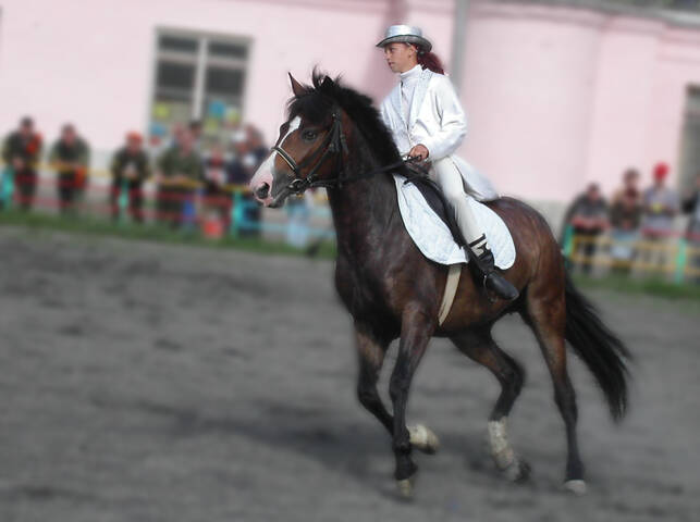 Северская амазонка