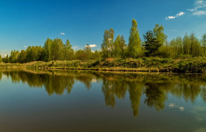 Майское утро IV 