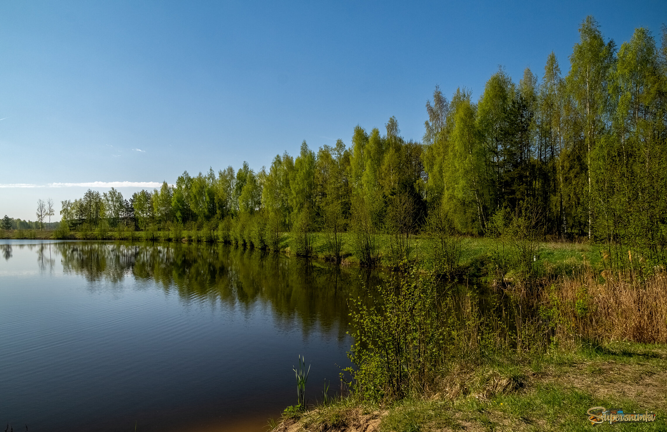 Майское утро VI 